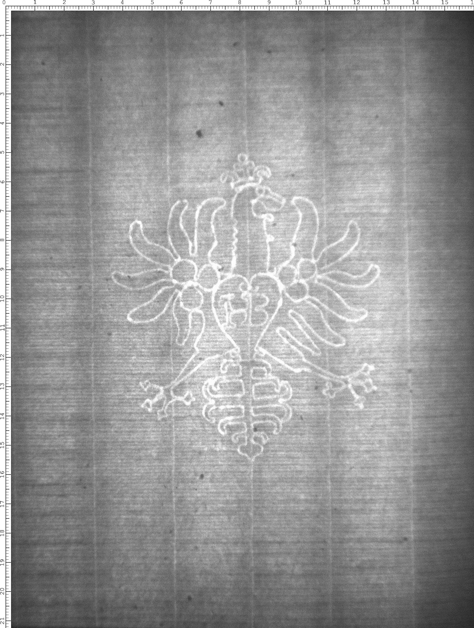 Watermark
