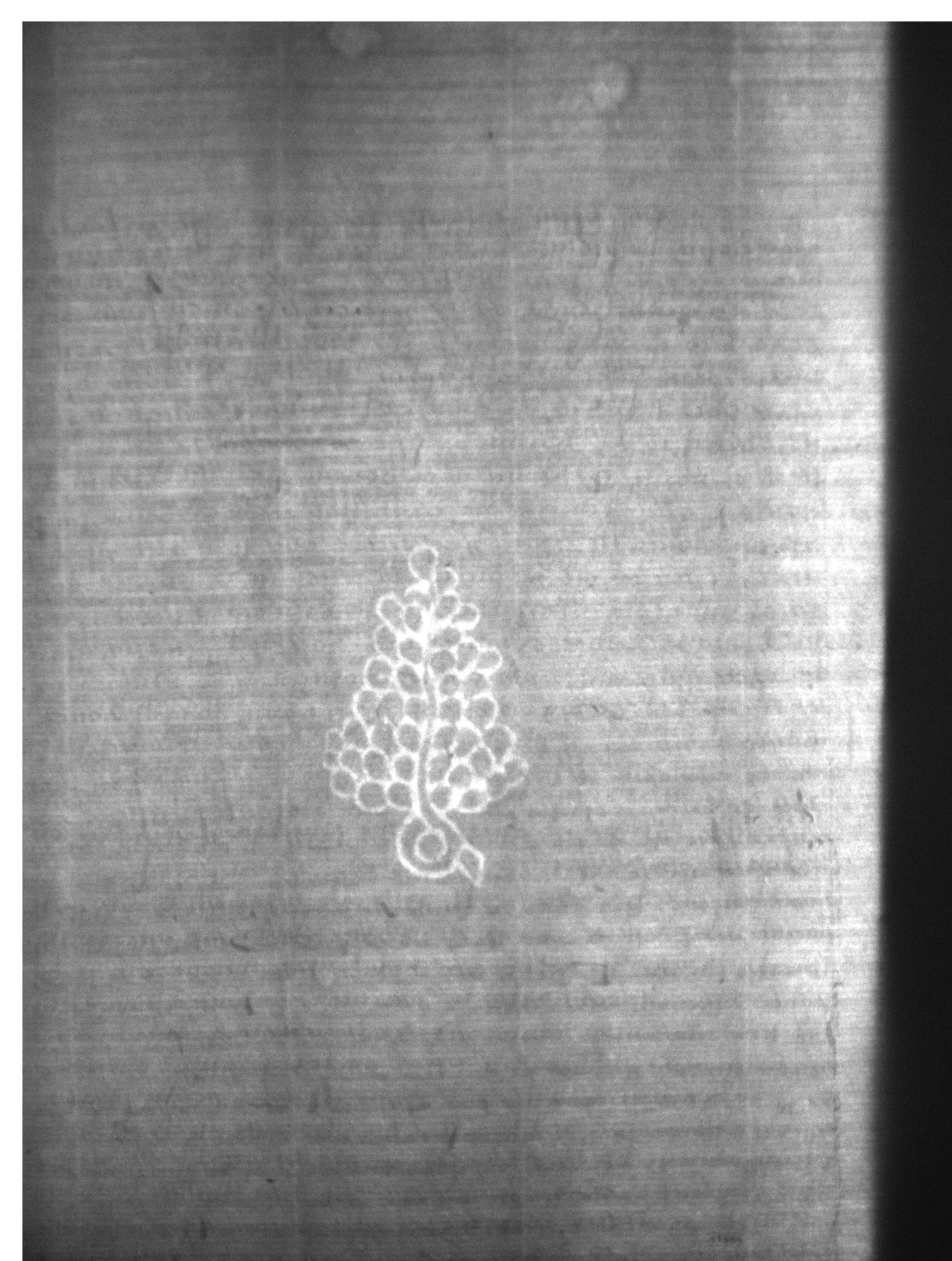 Watermark