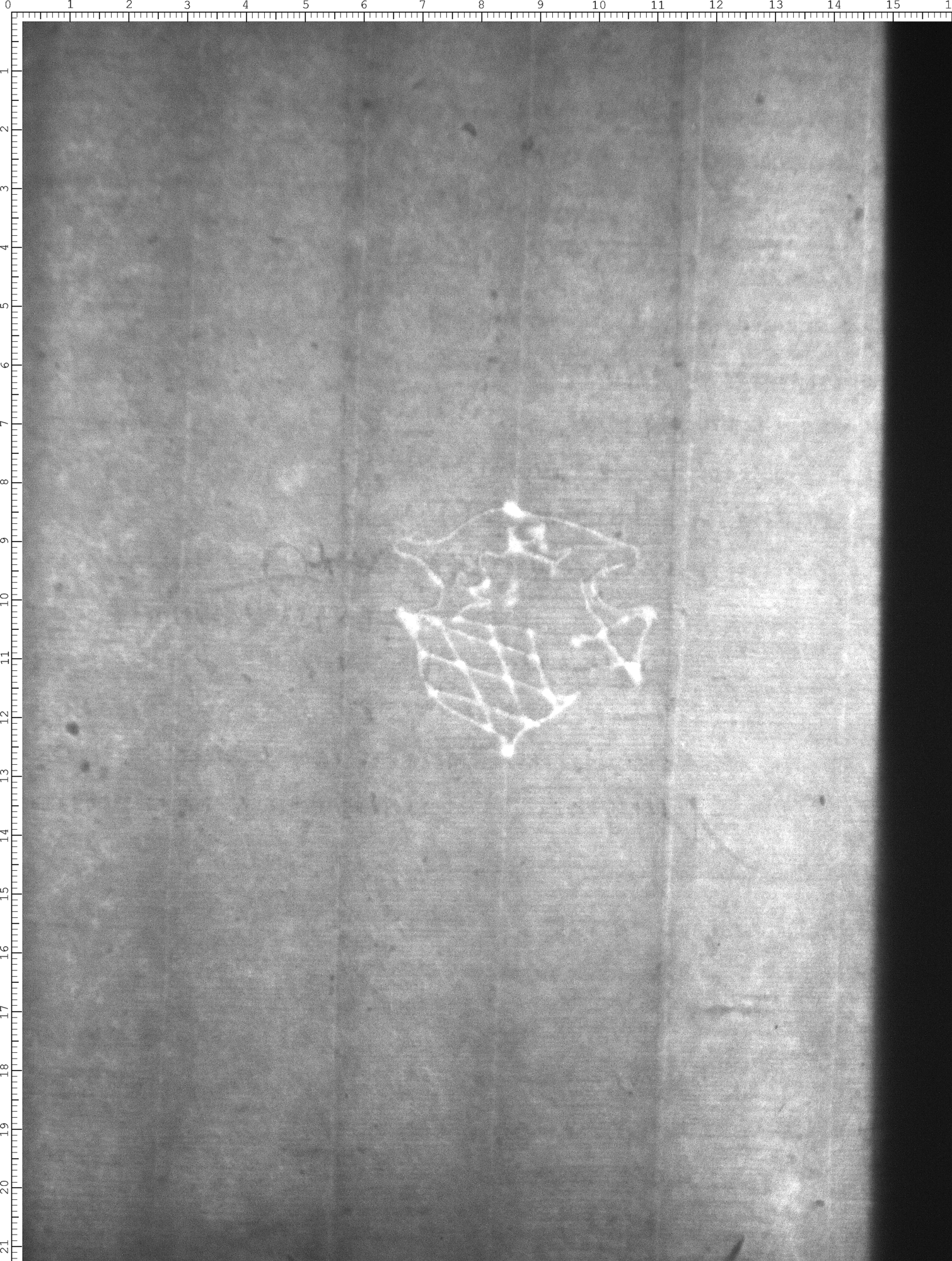 Watermark