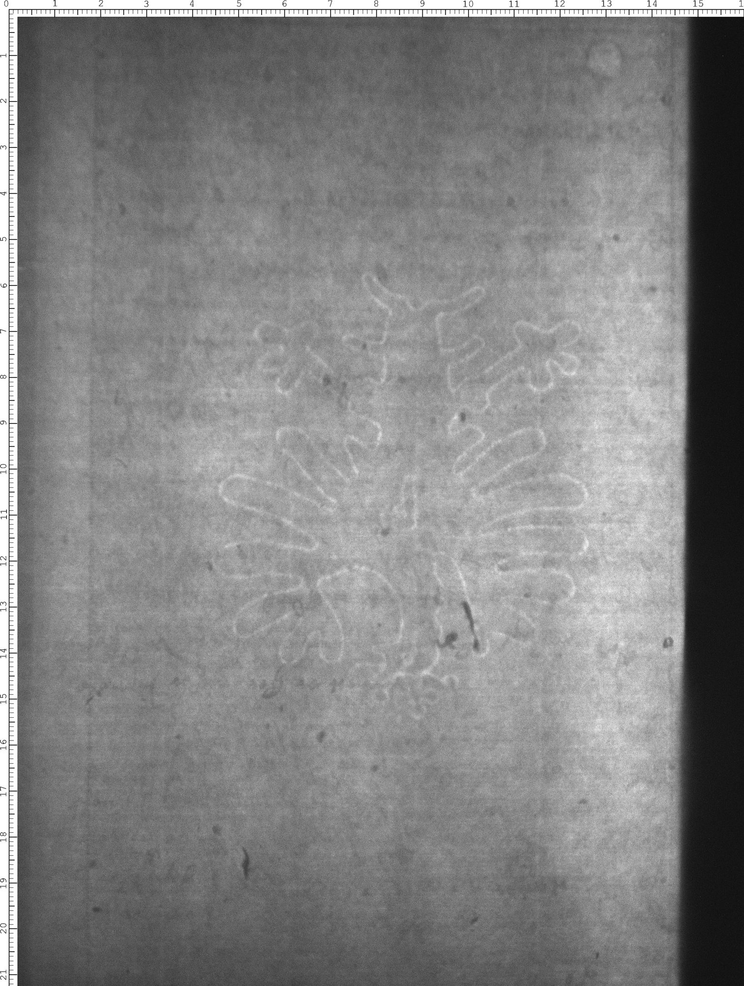 Watermark