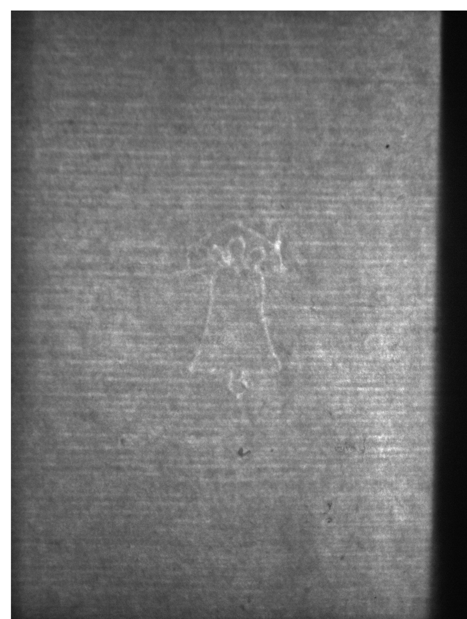 Watermark