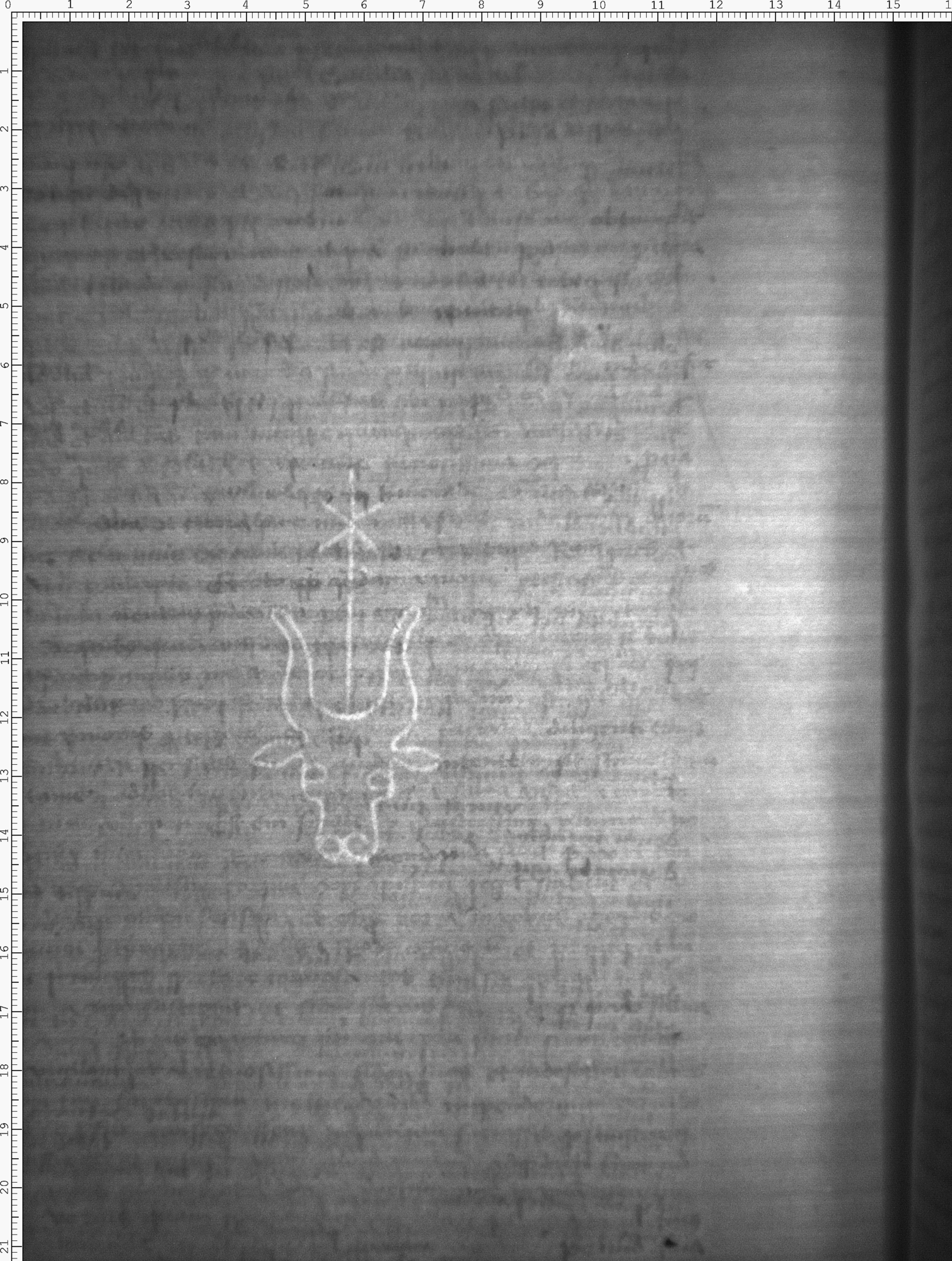 Watermark