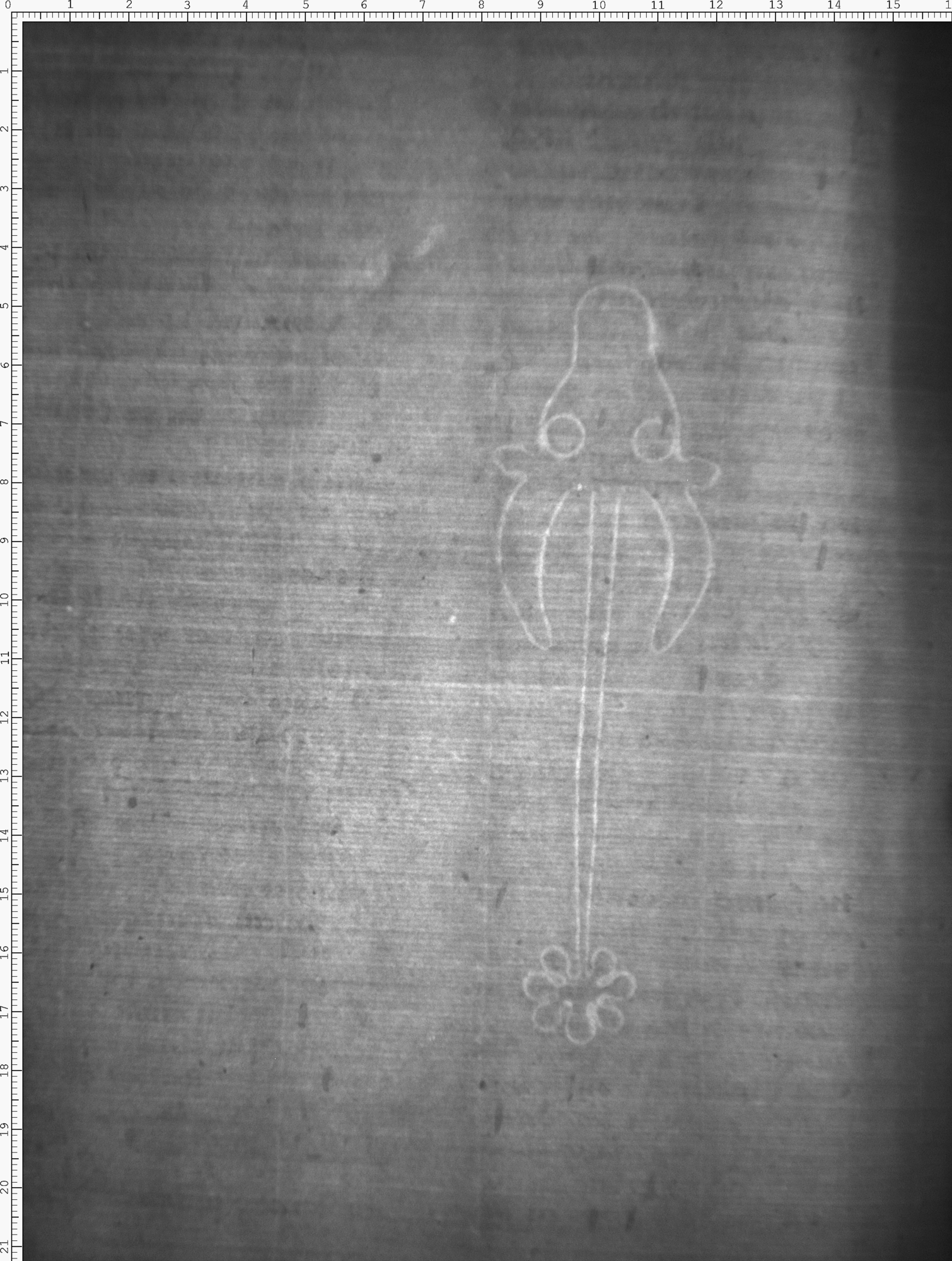 Watermark