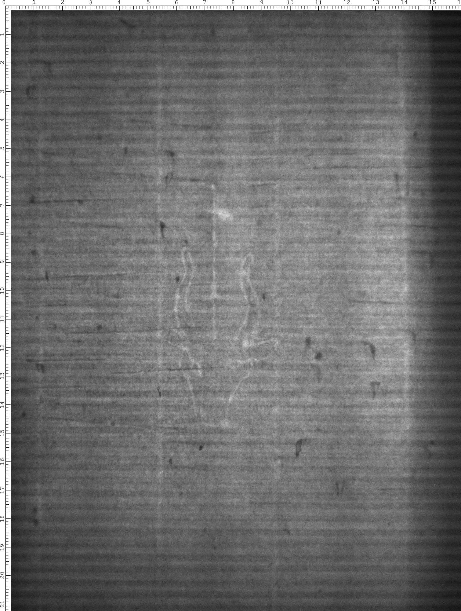 Watermark