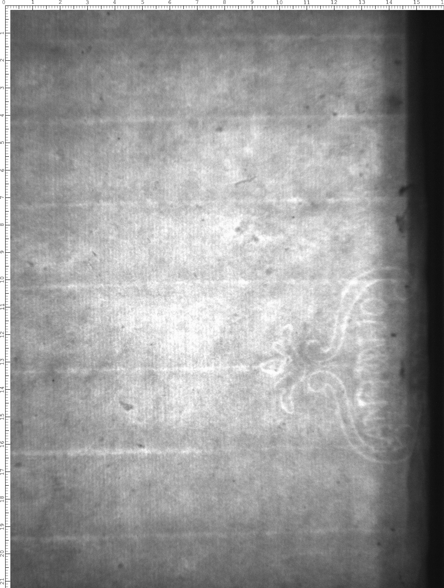 Watermark