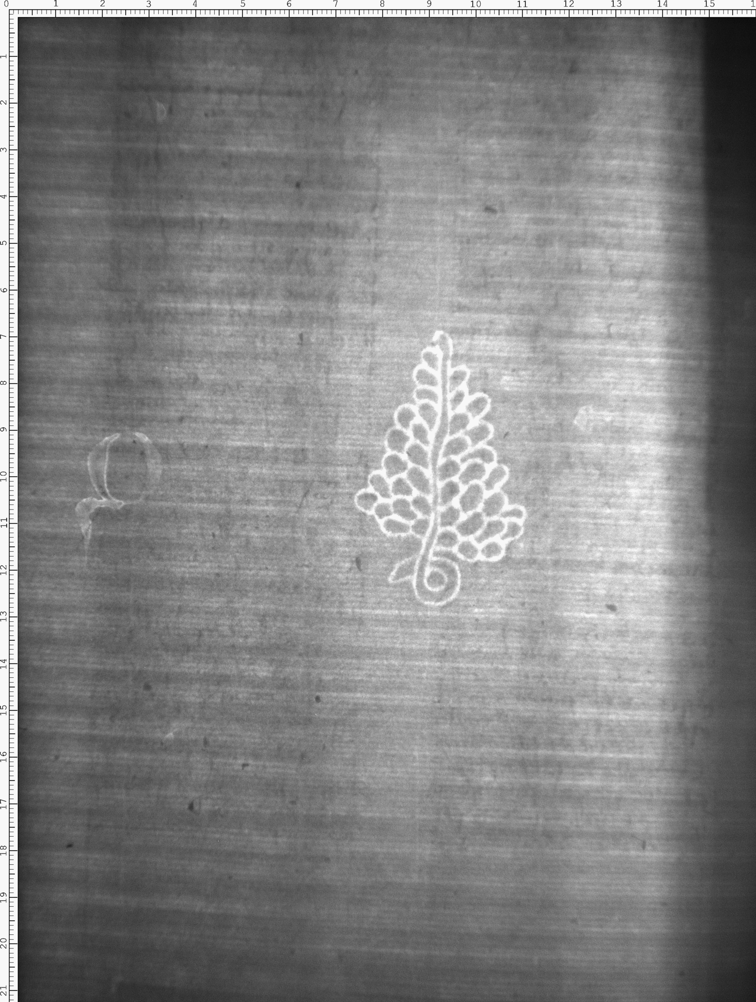 Watermark