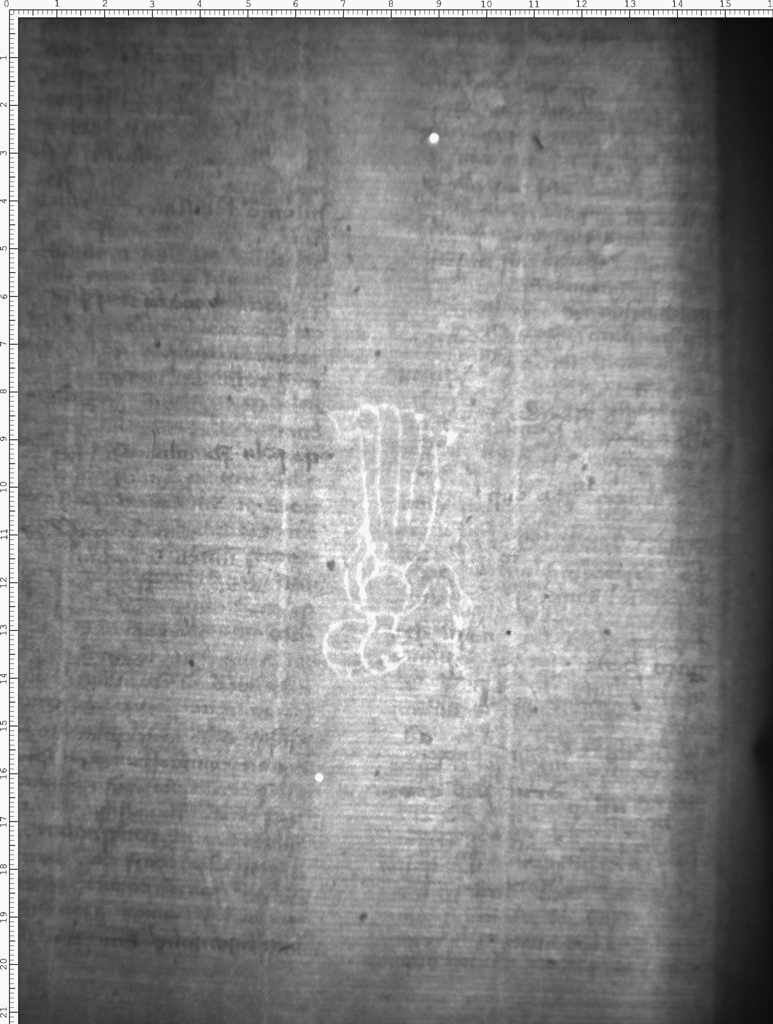 Watermark