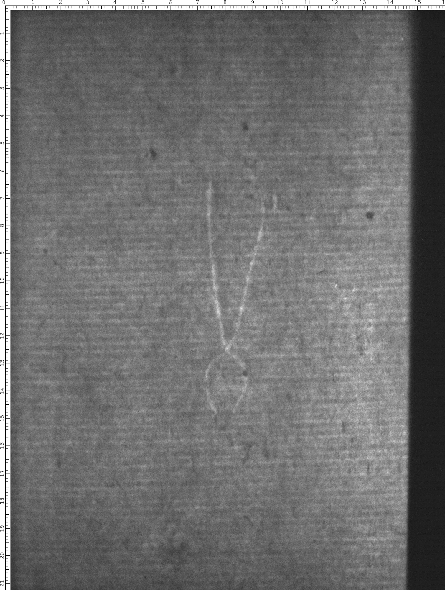 Watermark