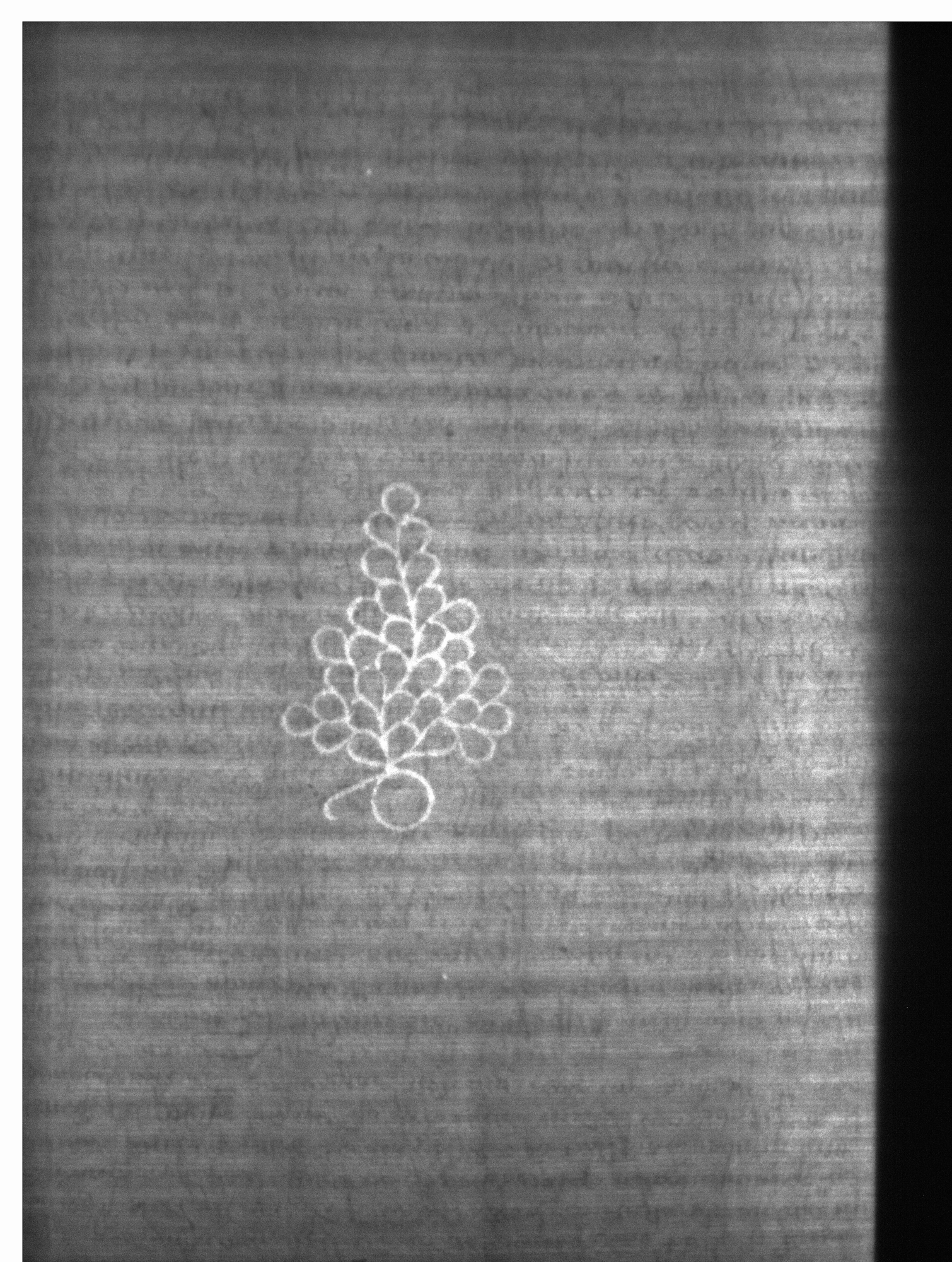 Watermark