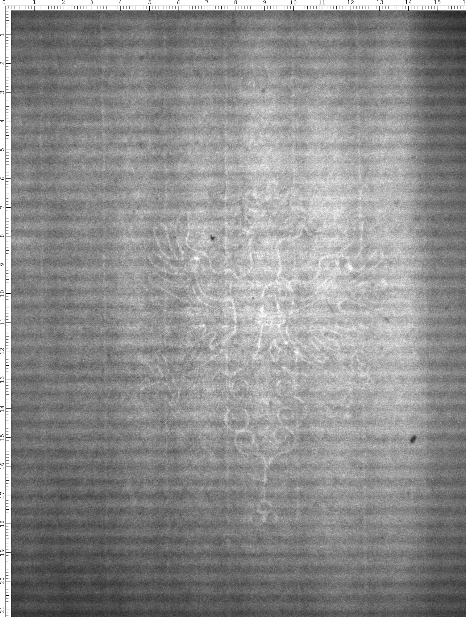 Watermark