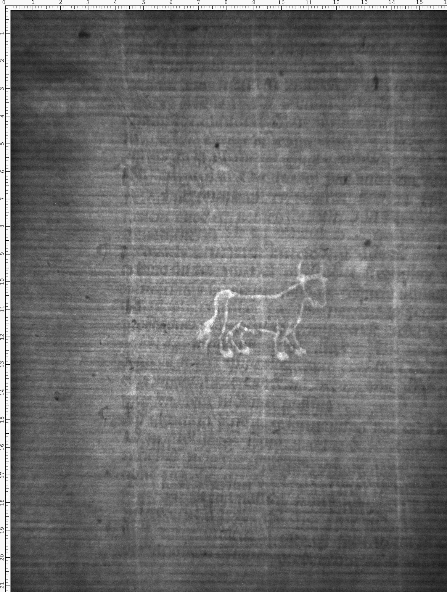 Watermark