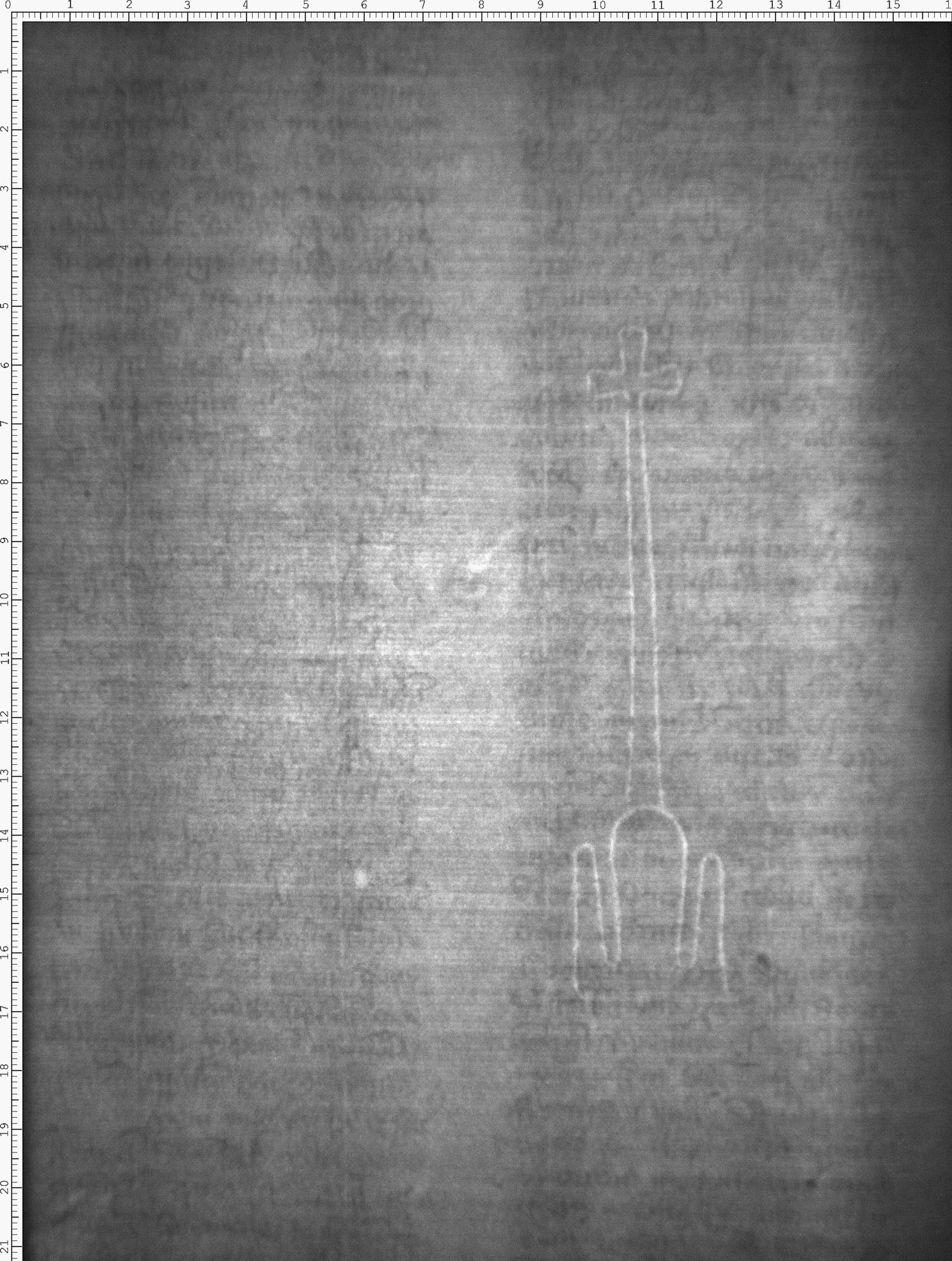 Watermark