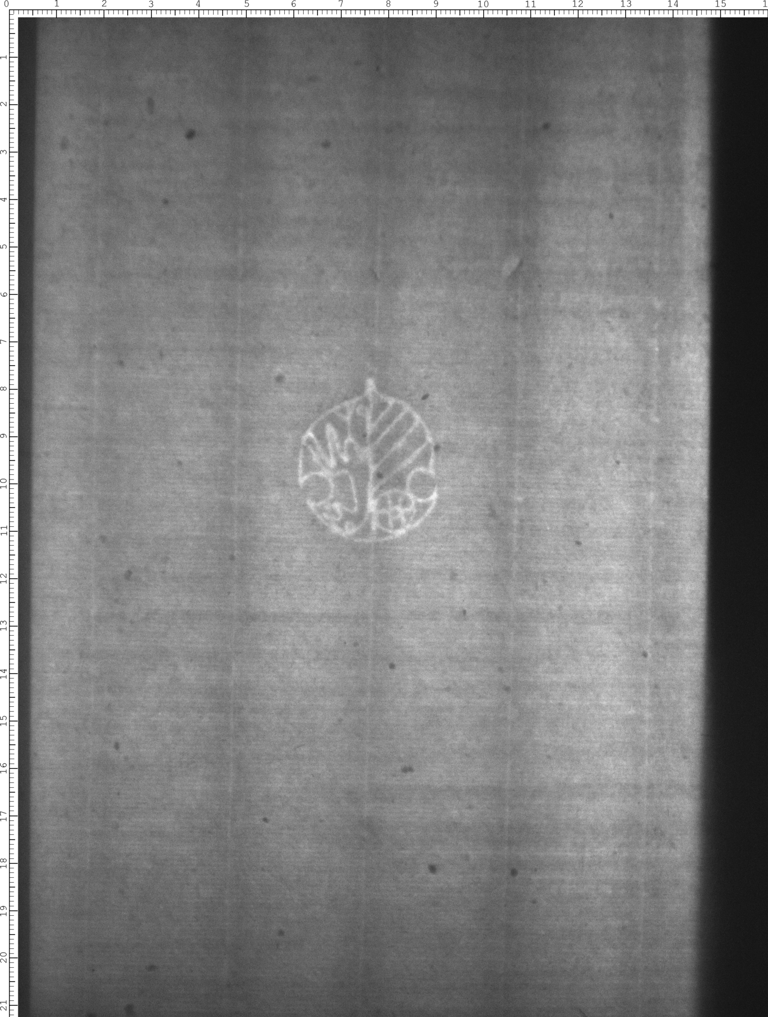 Watermark