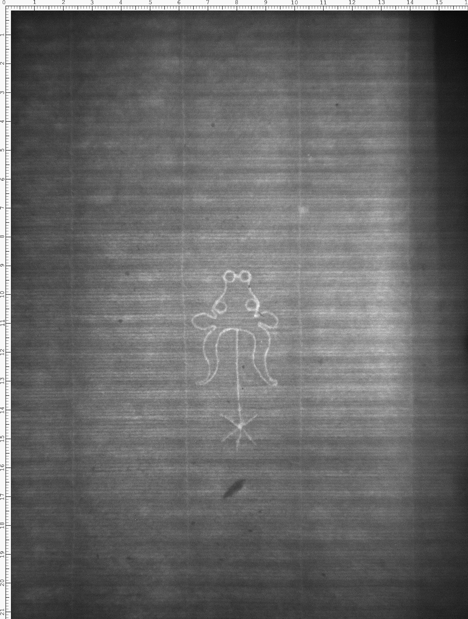 Watermark