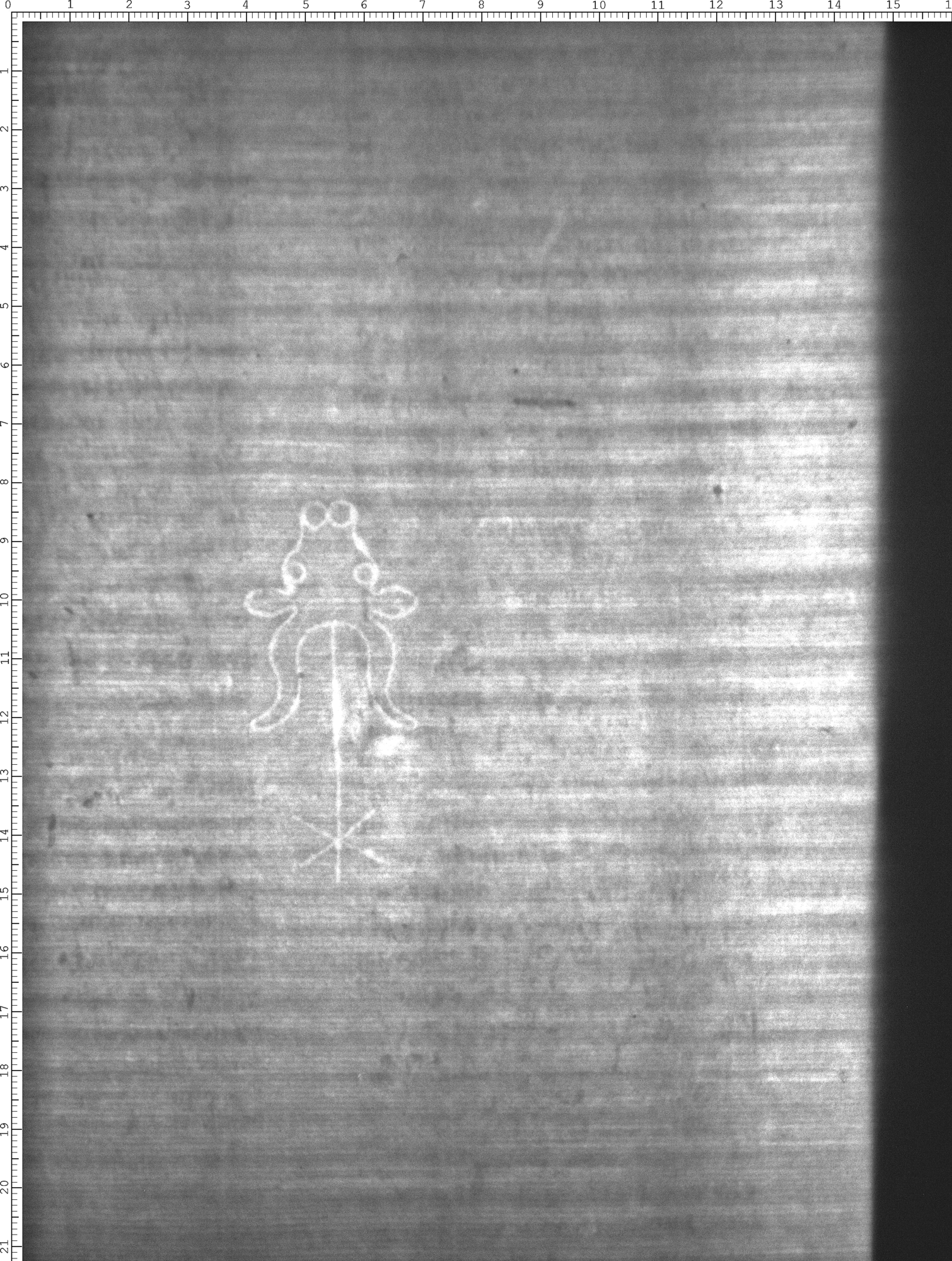 Watermark