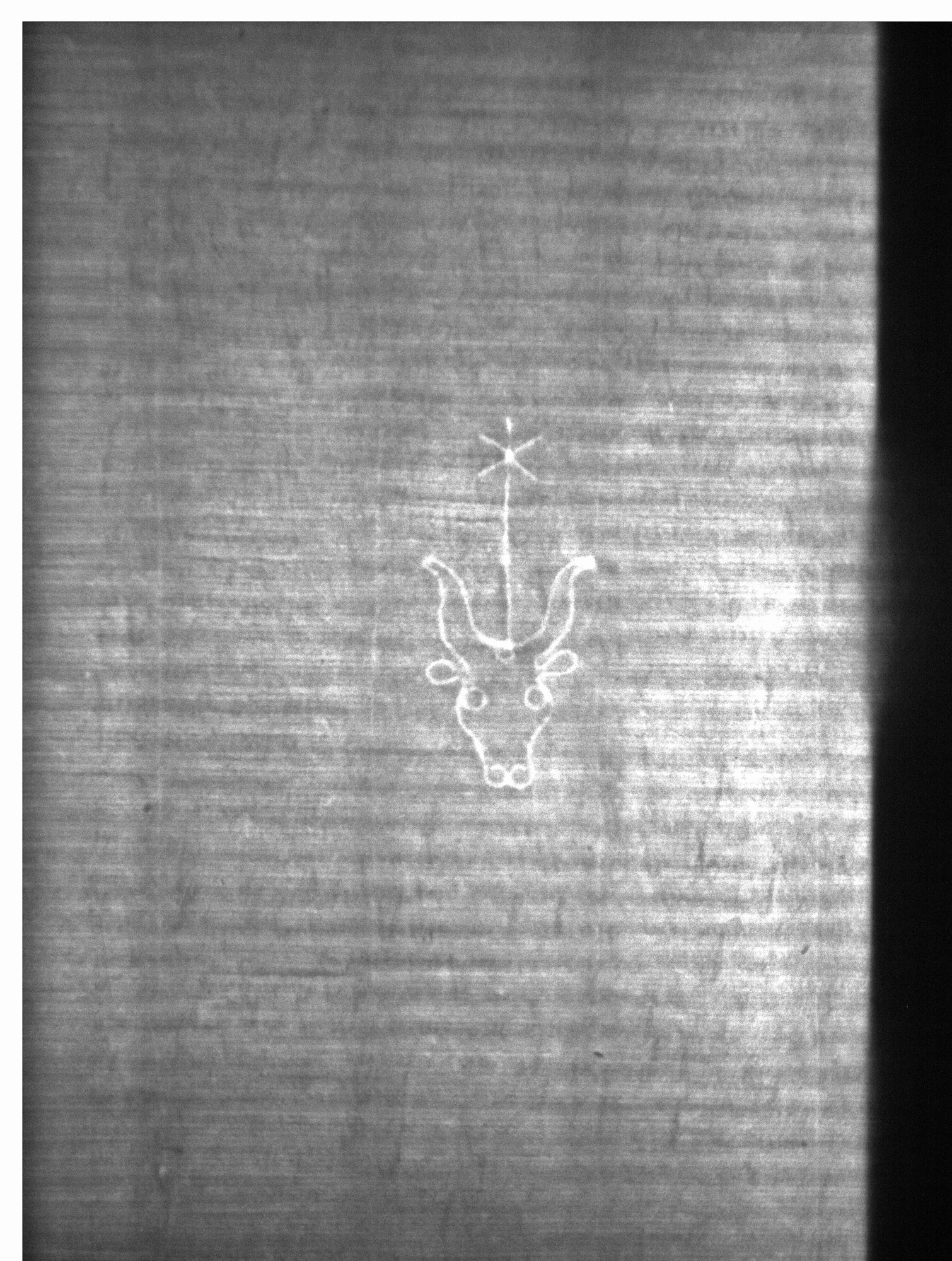 Watermark
