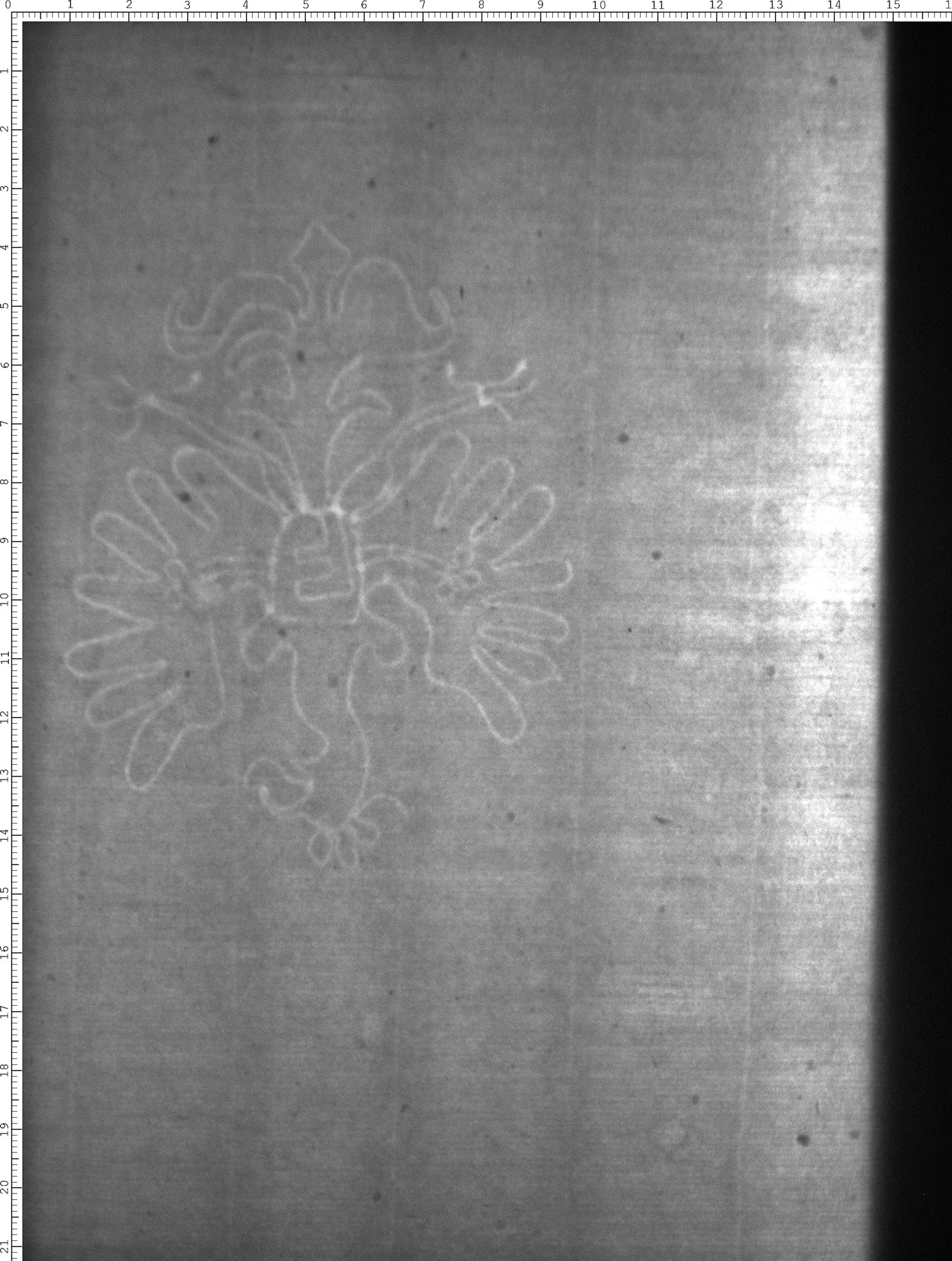 Watermark