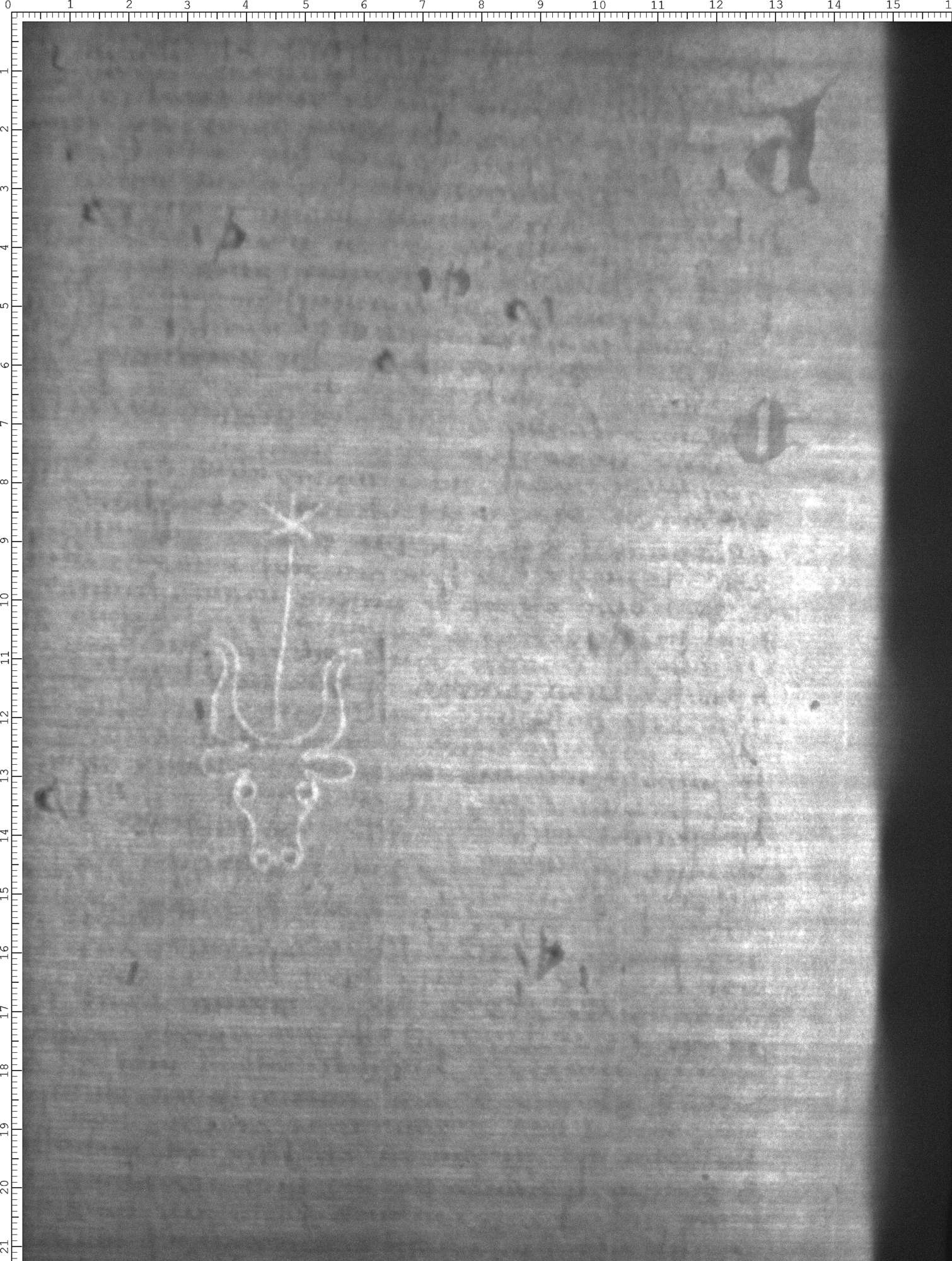 Watermark