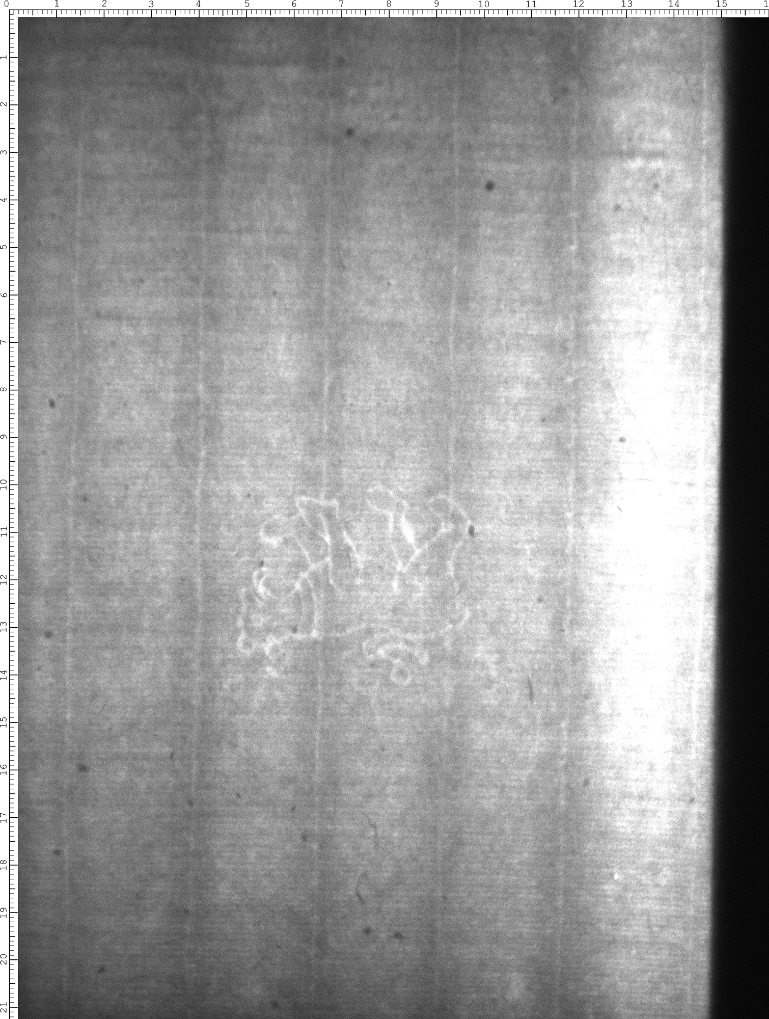 Watermark