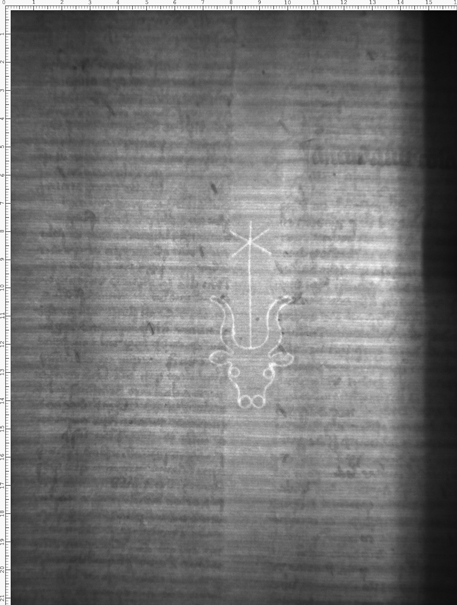 Watermark