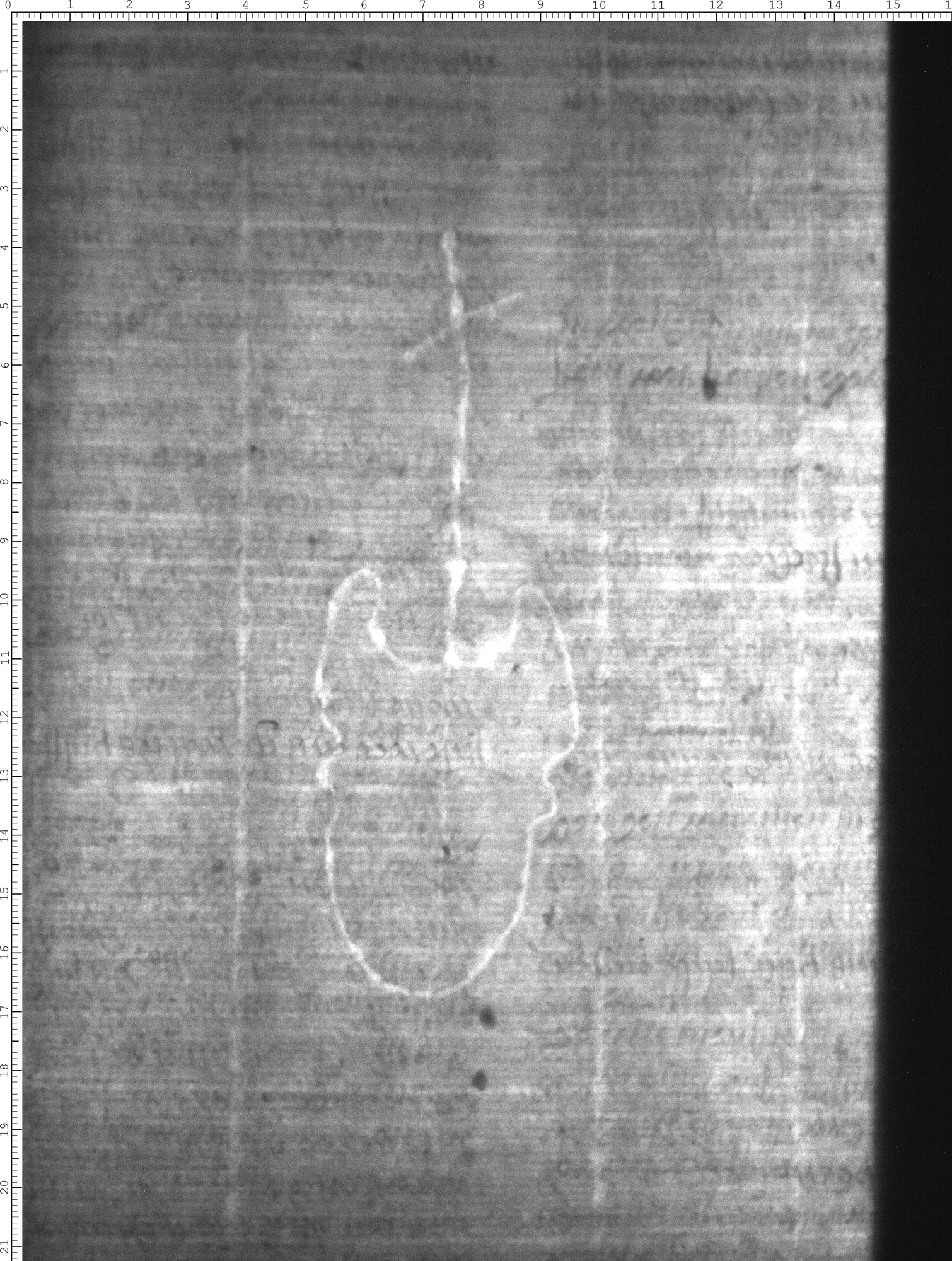 Watermark