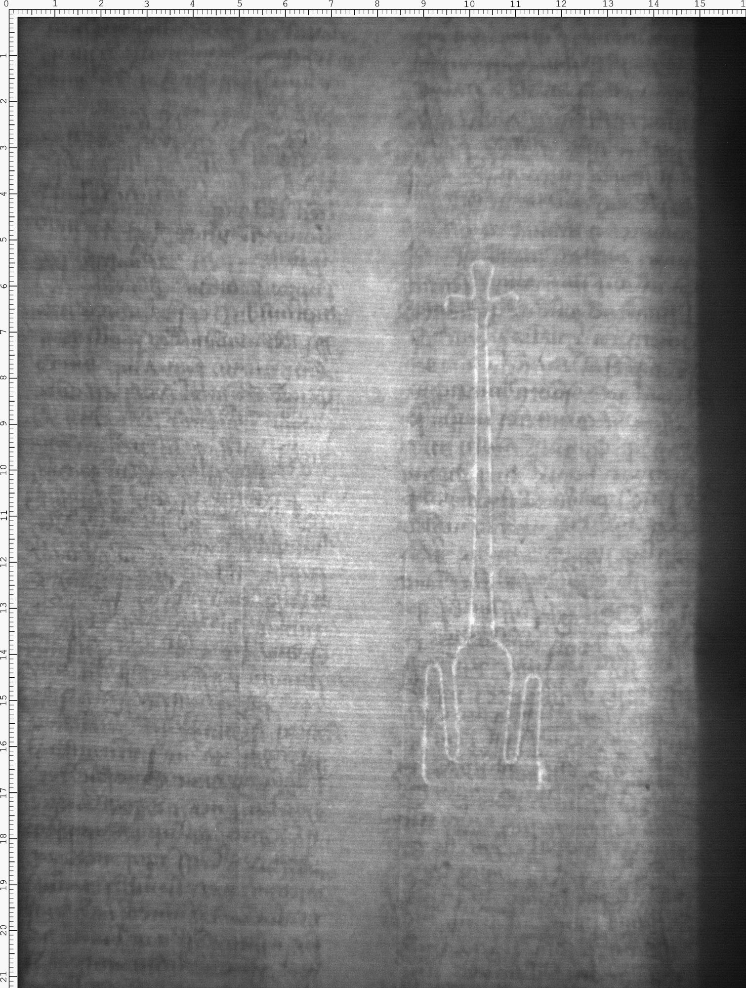 Watermark