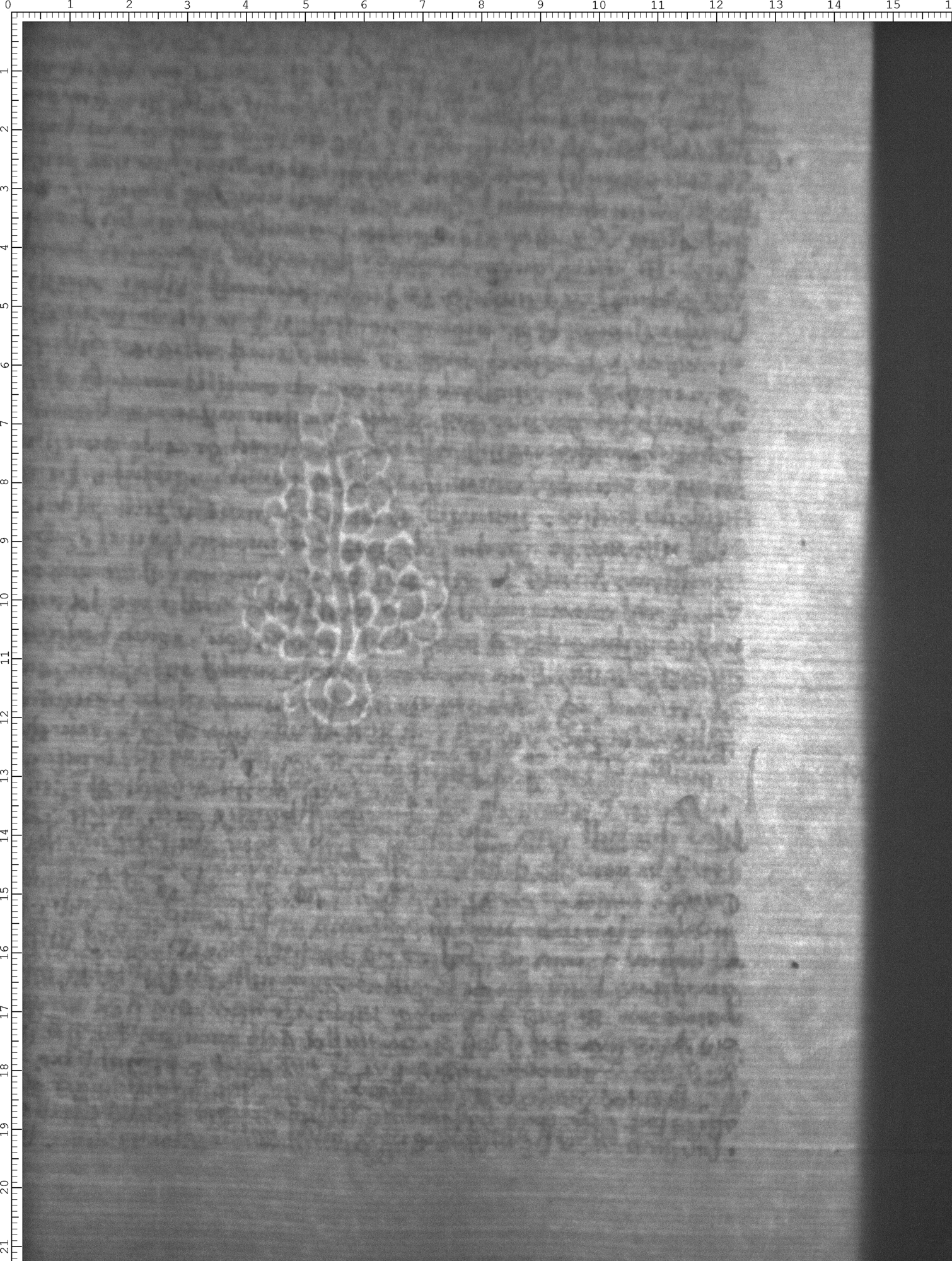Watermark