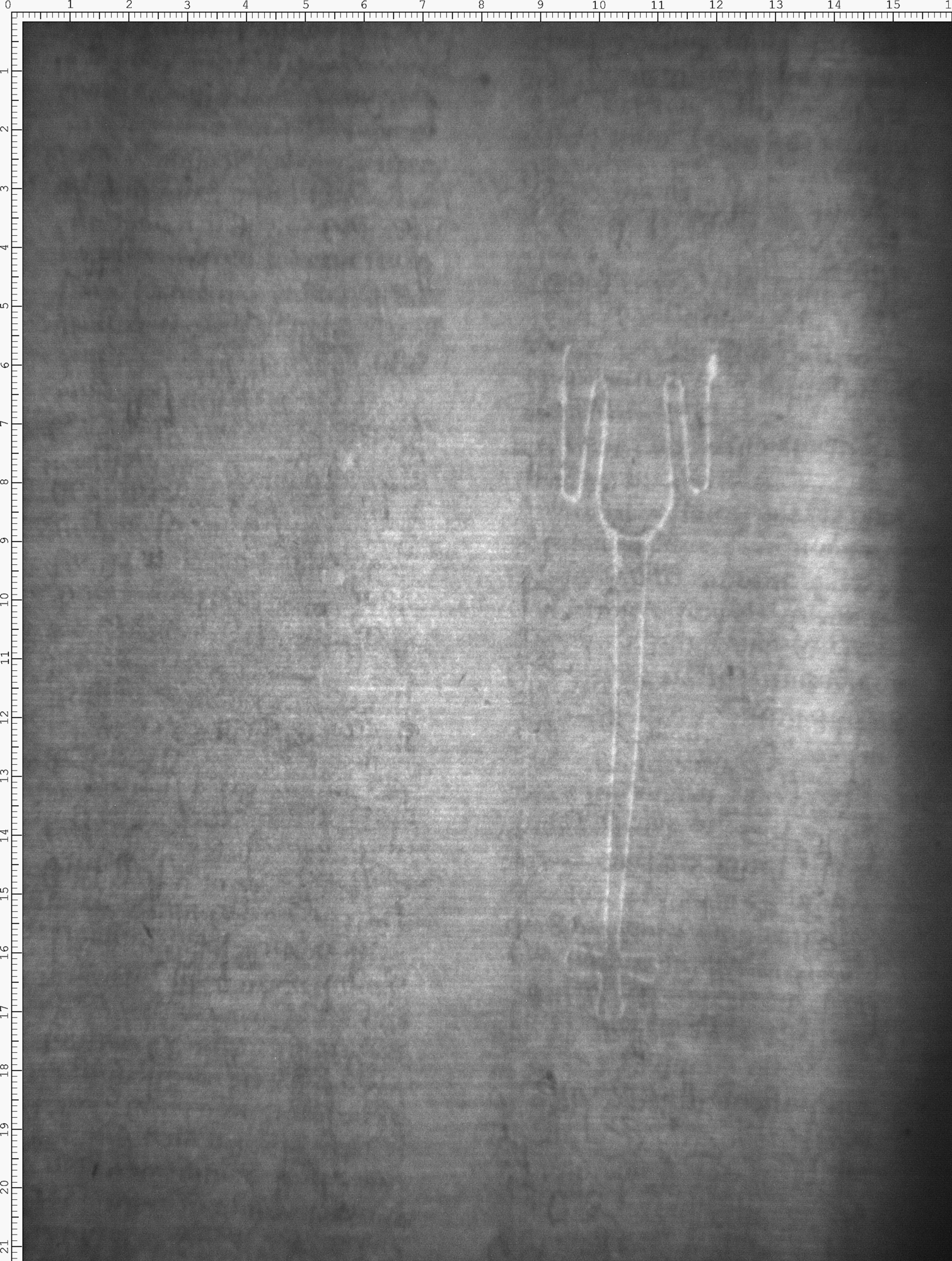 Watermark