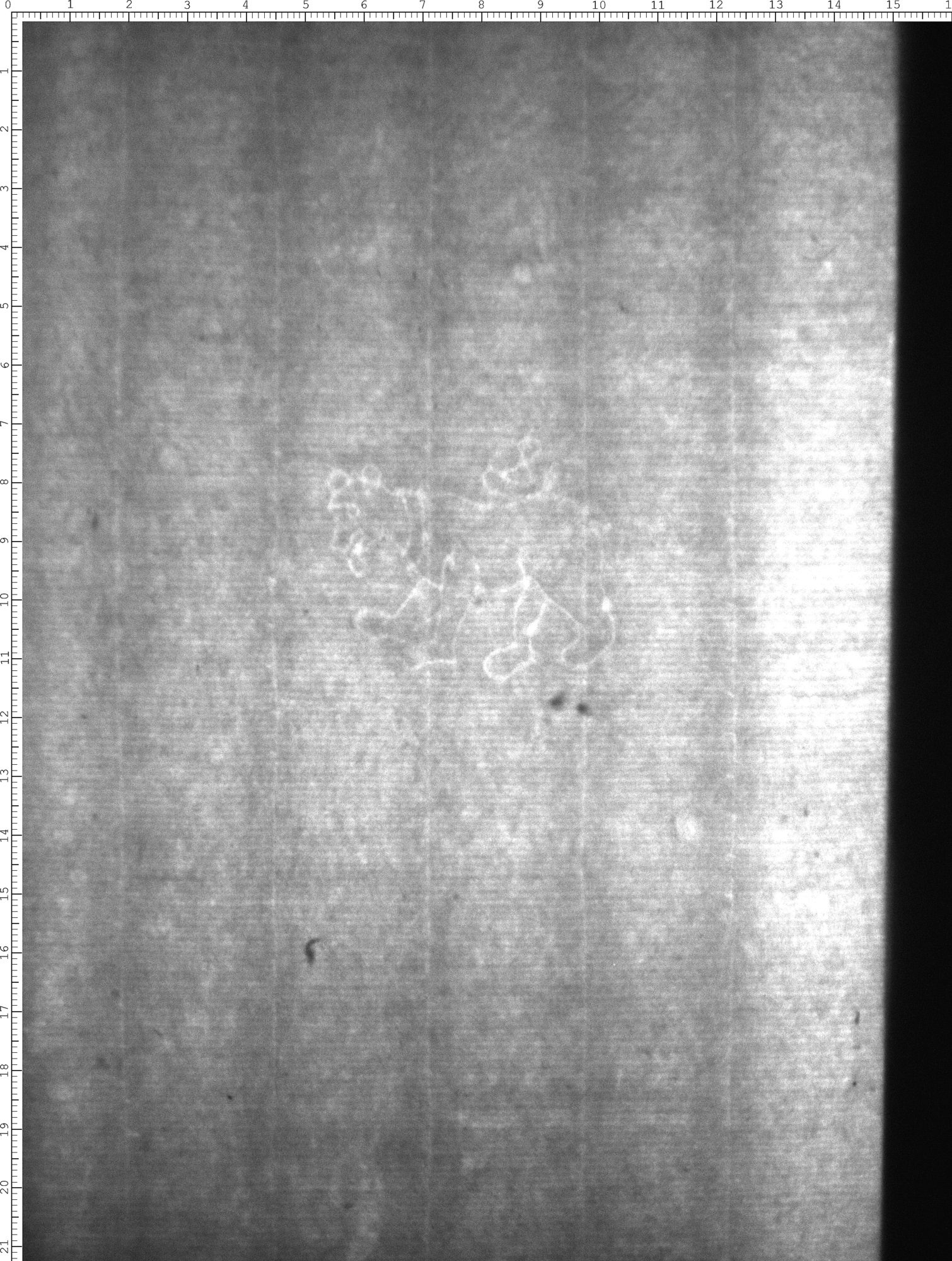 Watermark