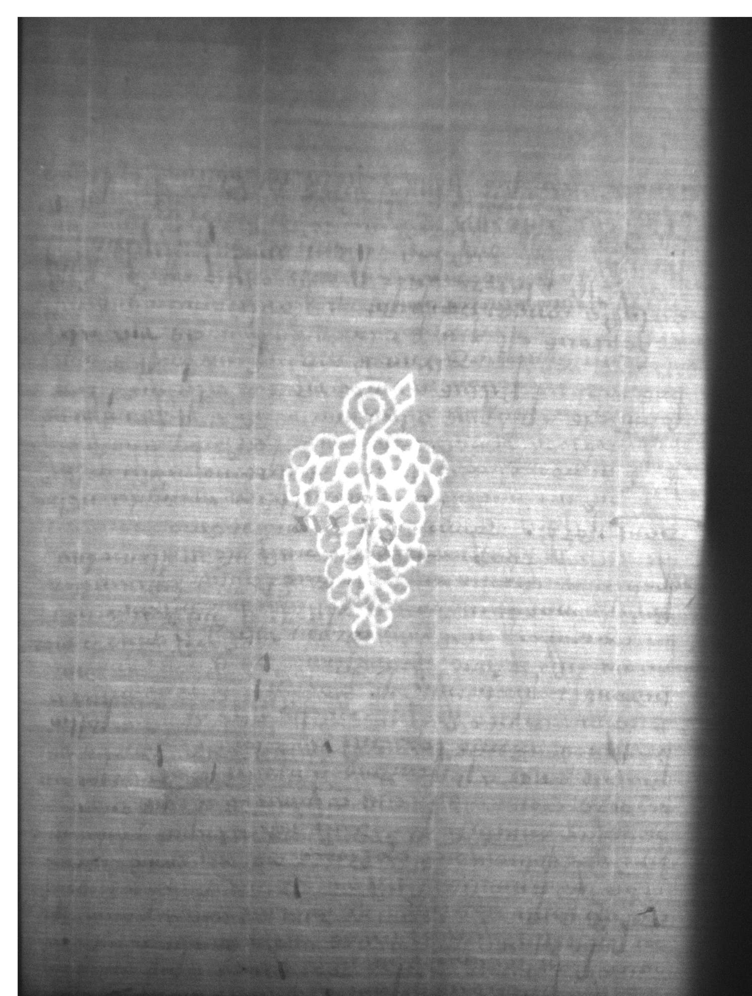 Watermark