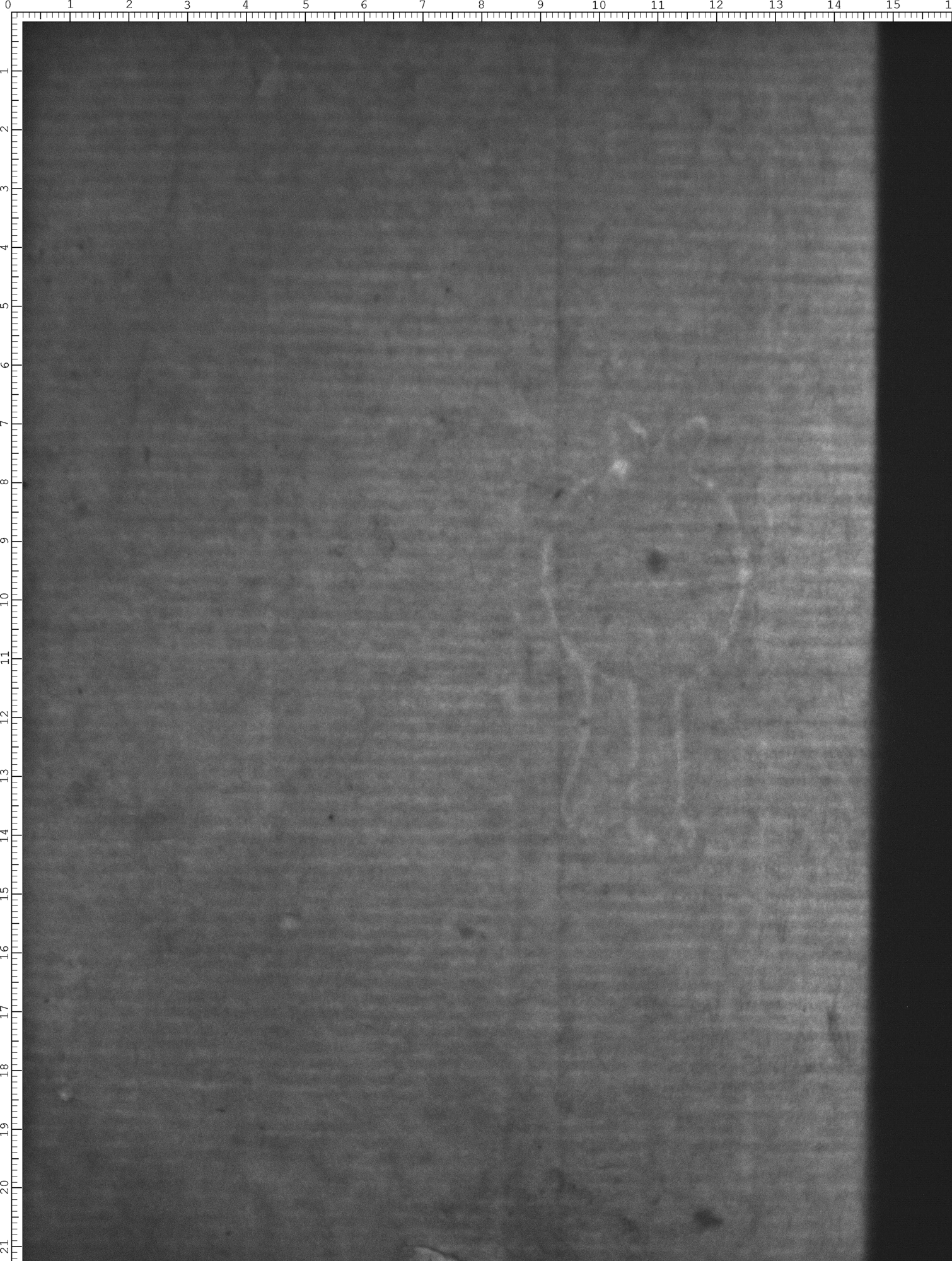 Watermark