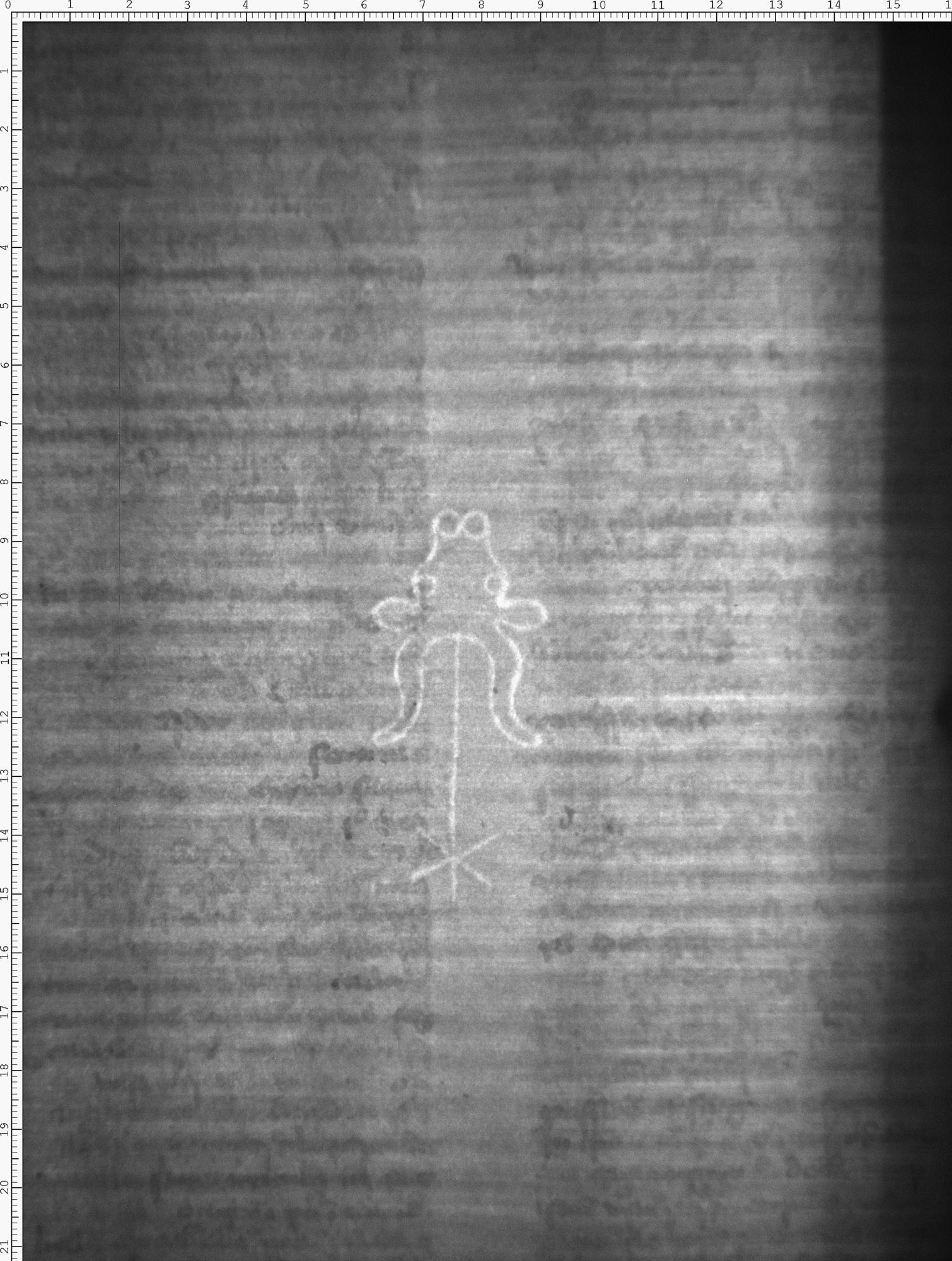 Watermark