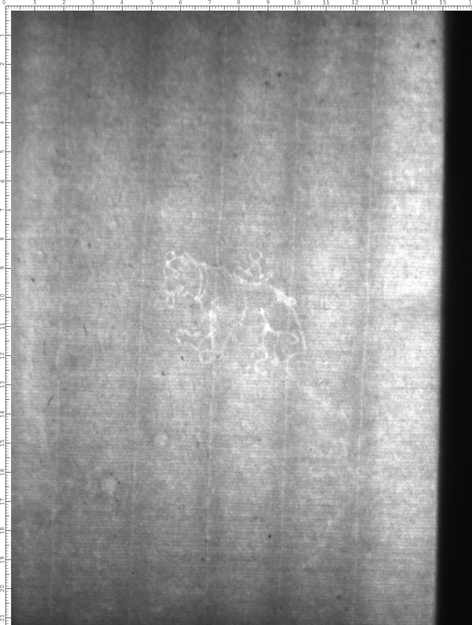 Watermark