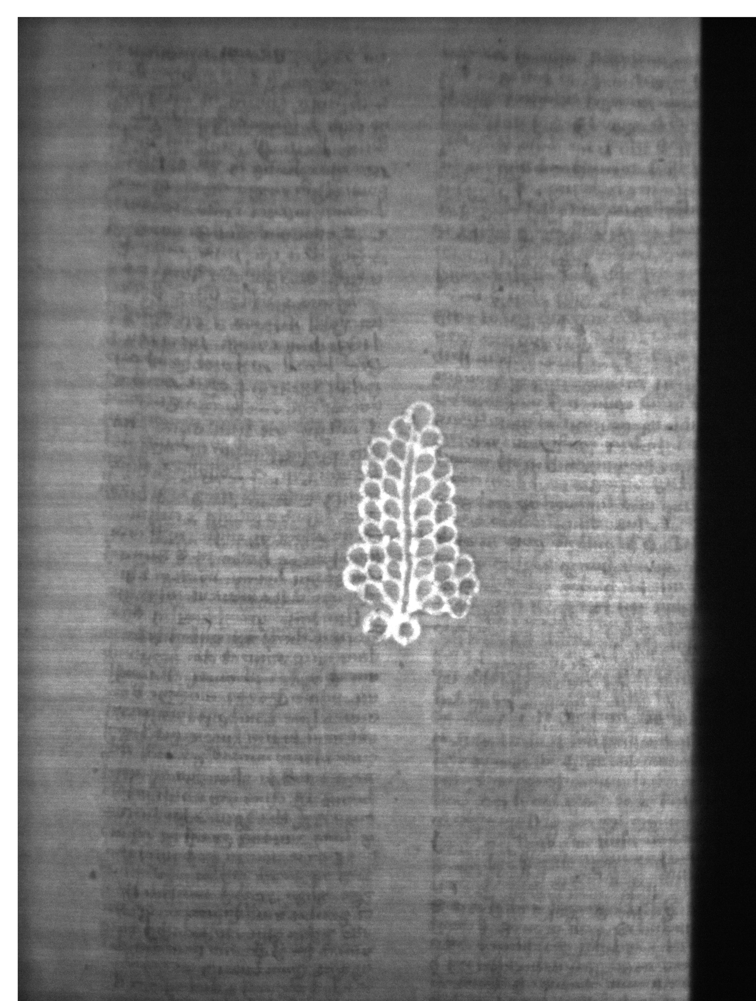 Watermark