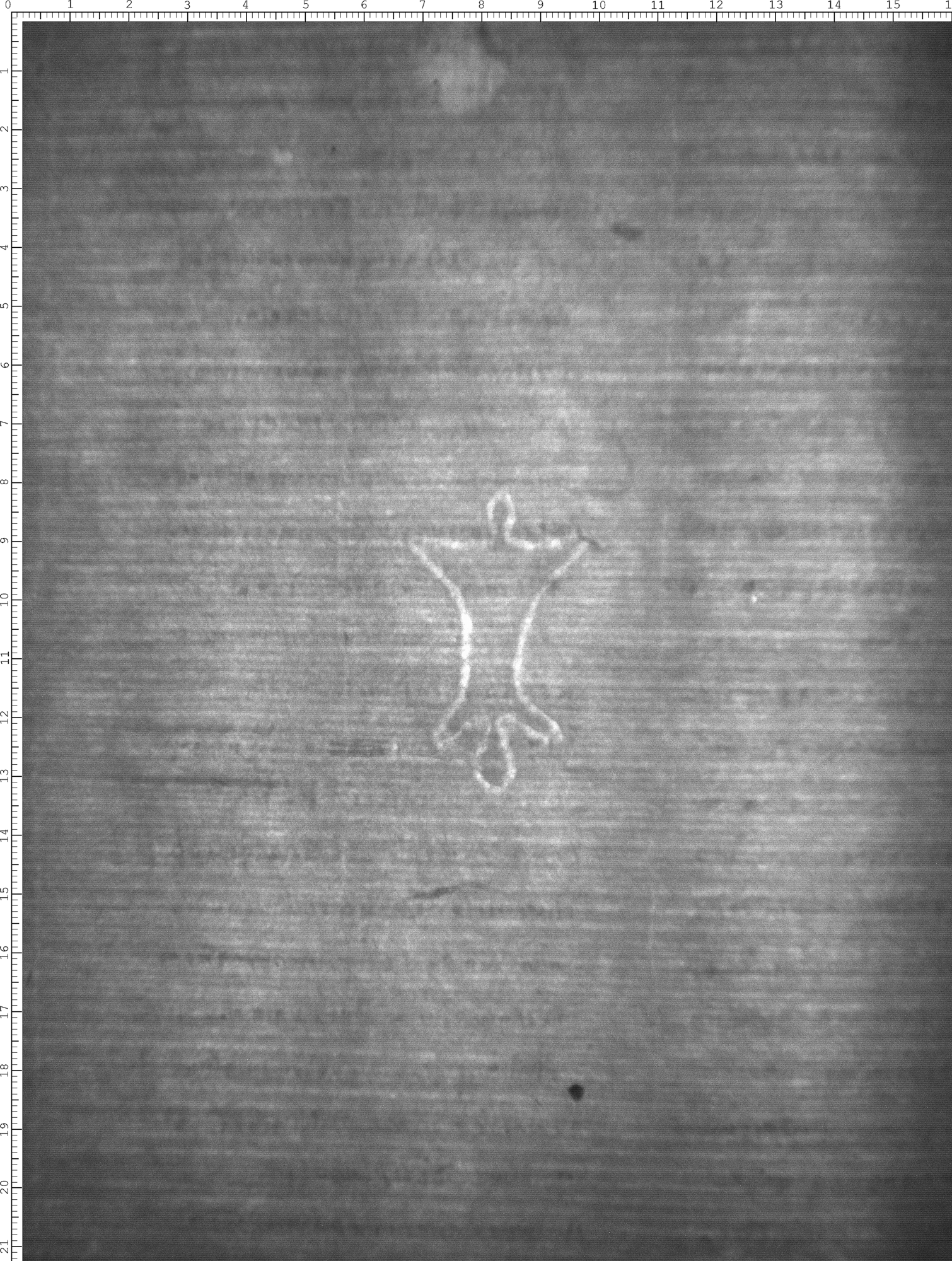 Watermark