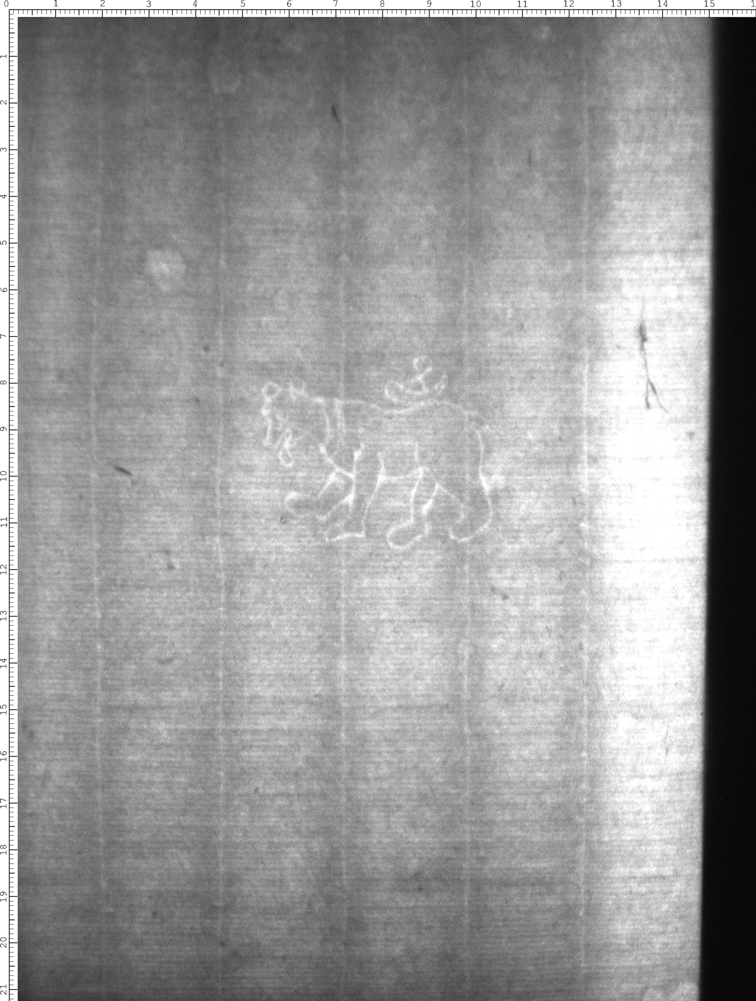 Watermark
