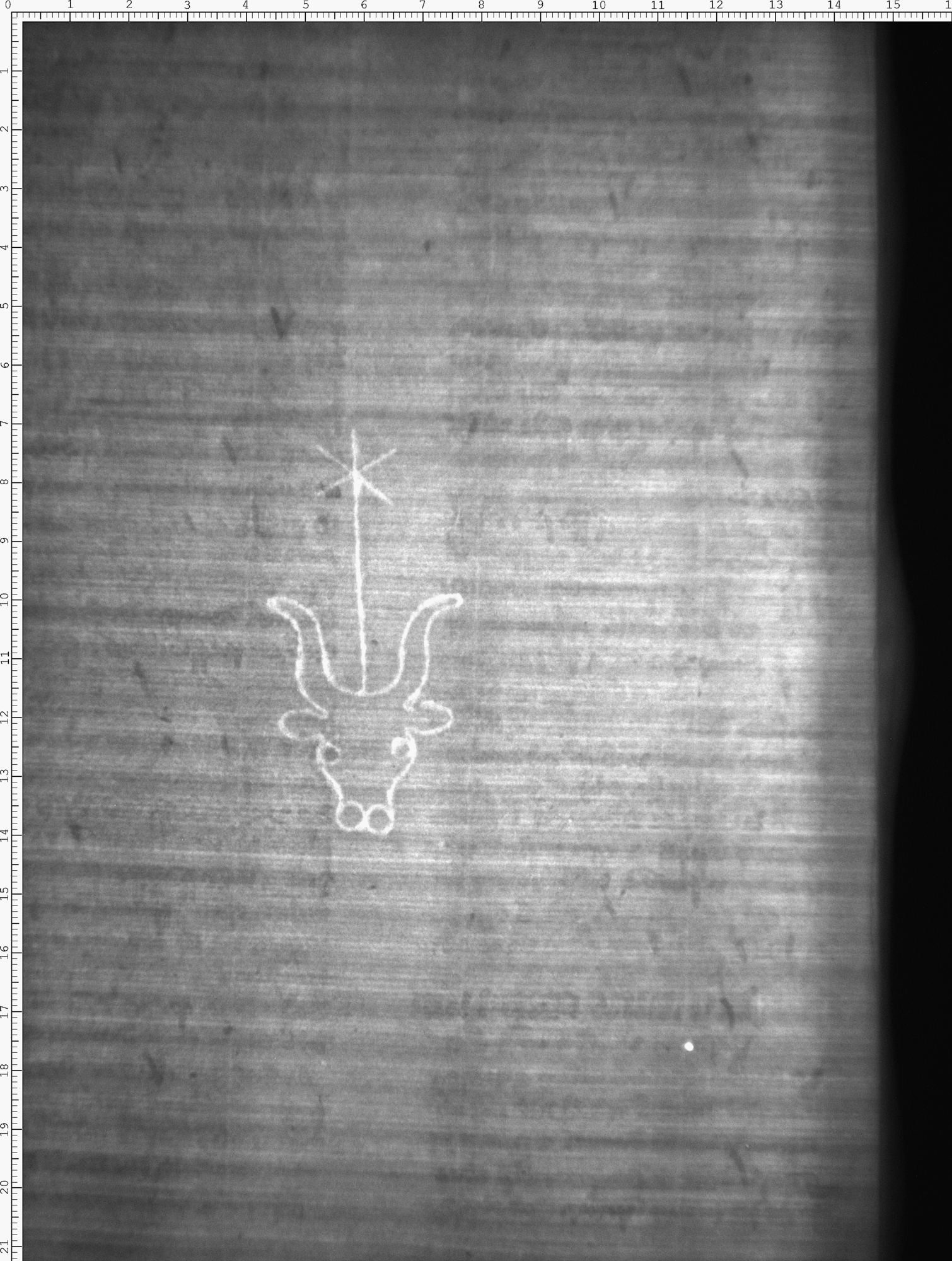 Watermark