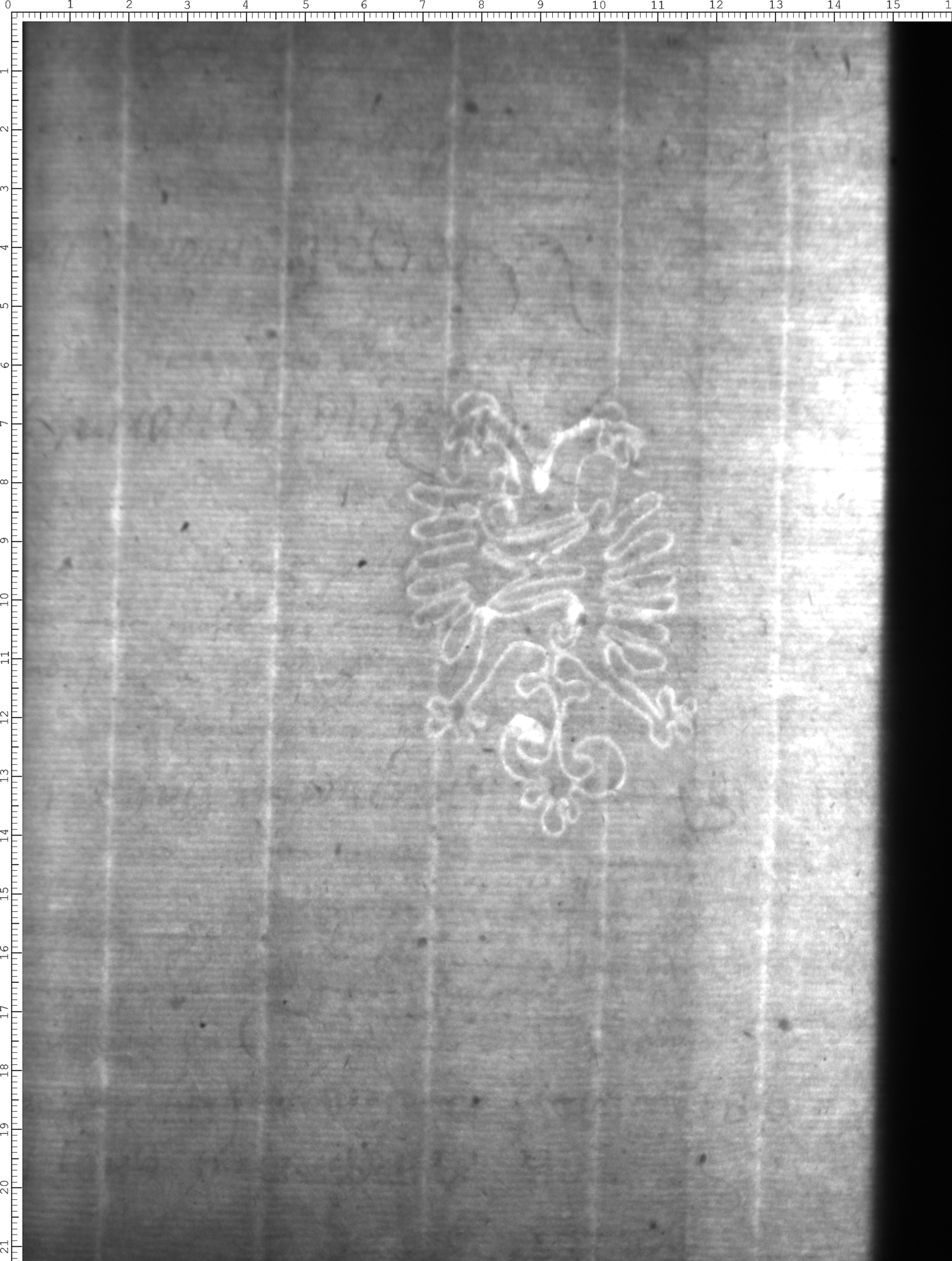 Watermark