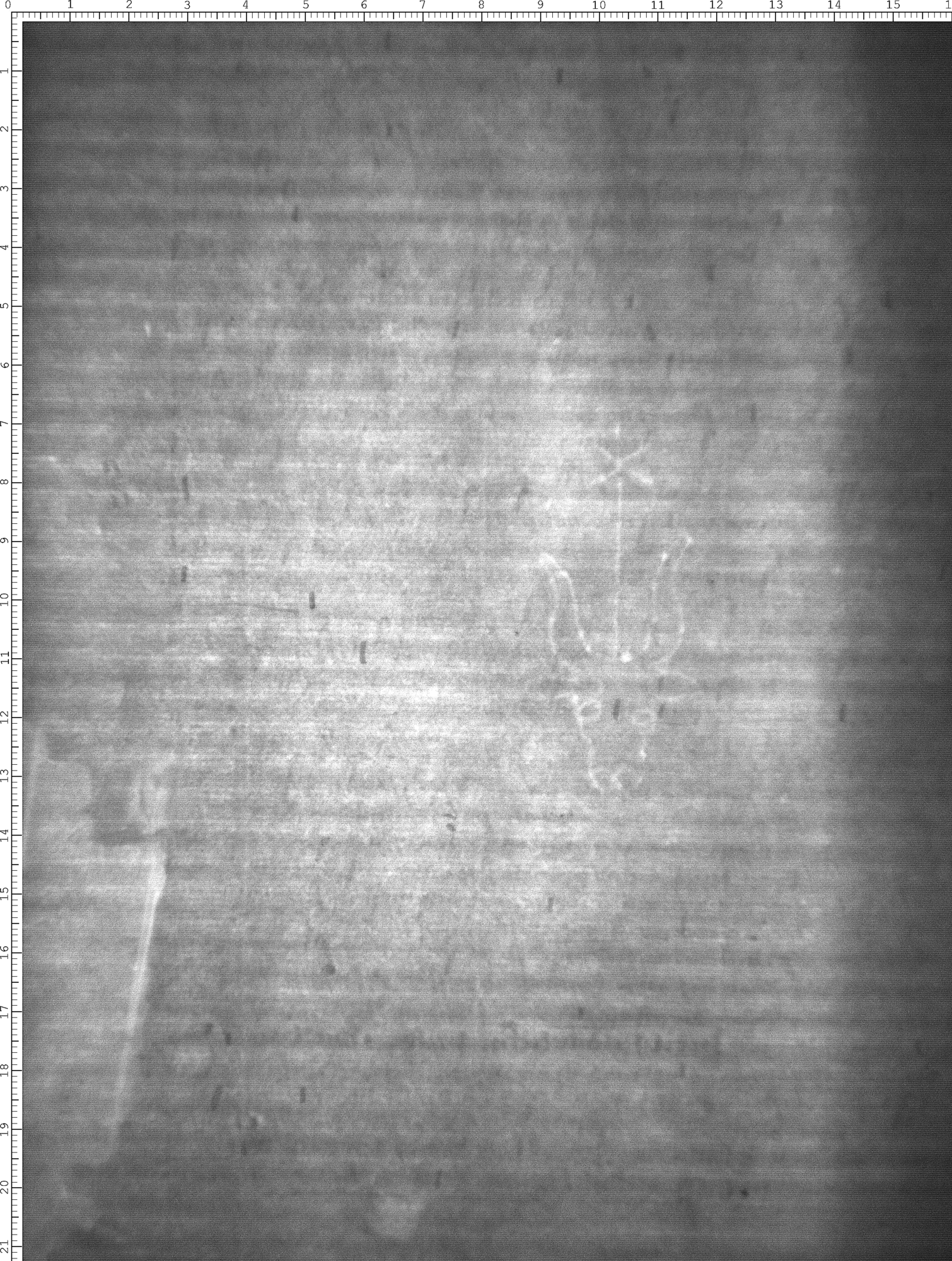 Watermark