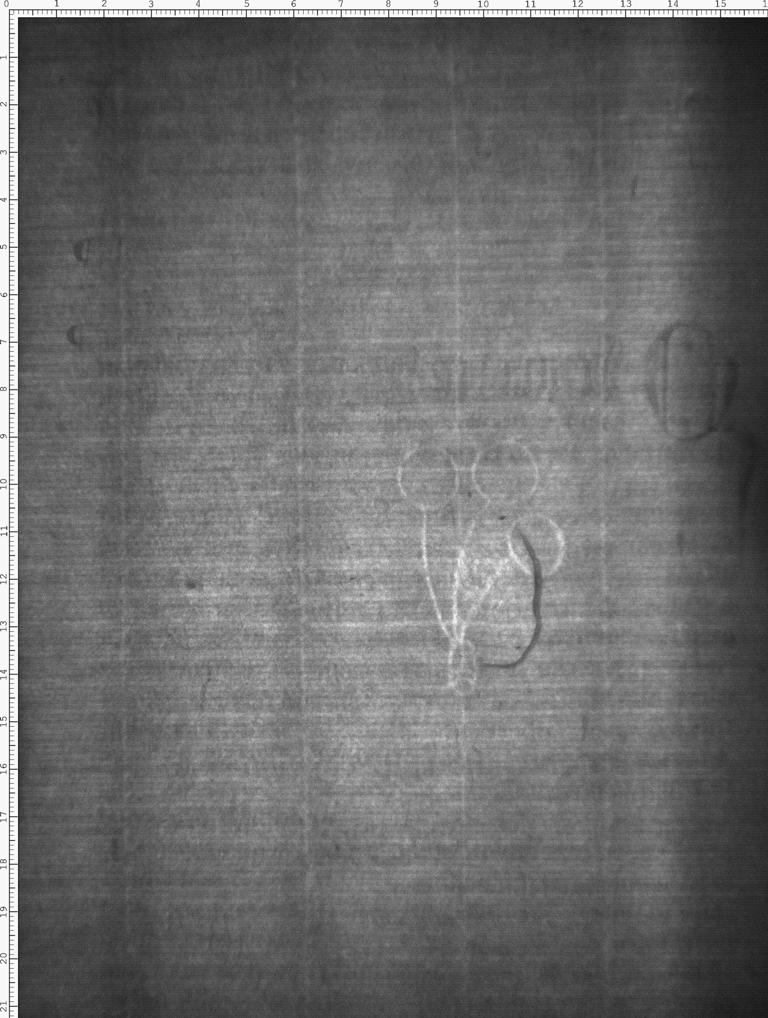 Watermark