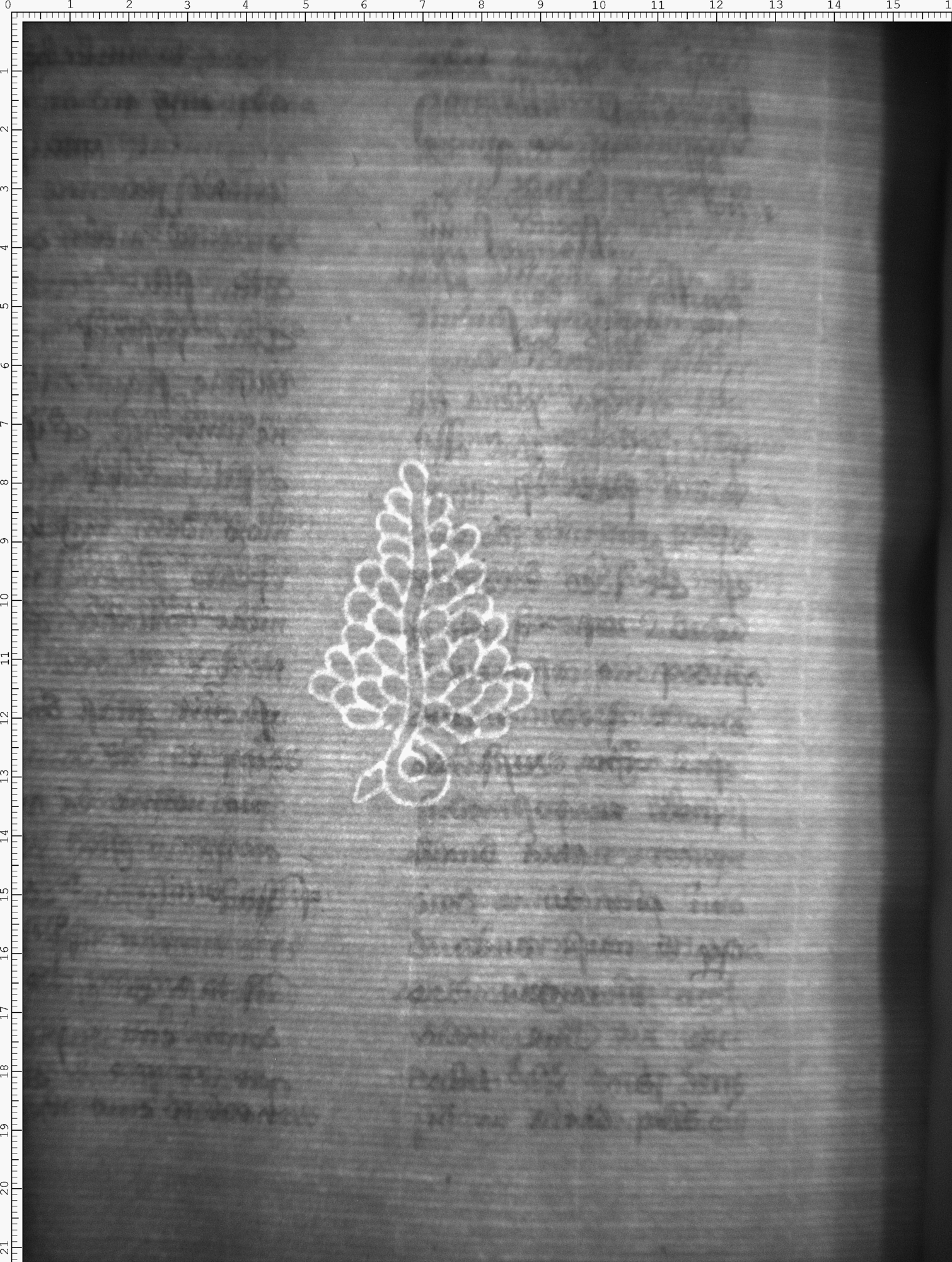 Watermark