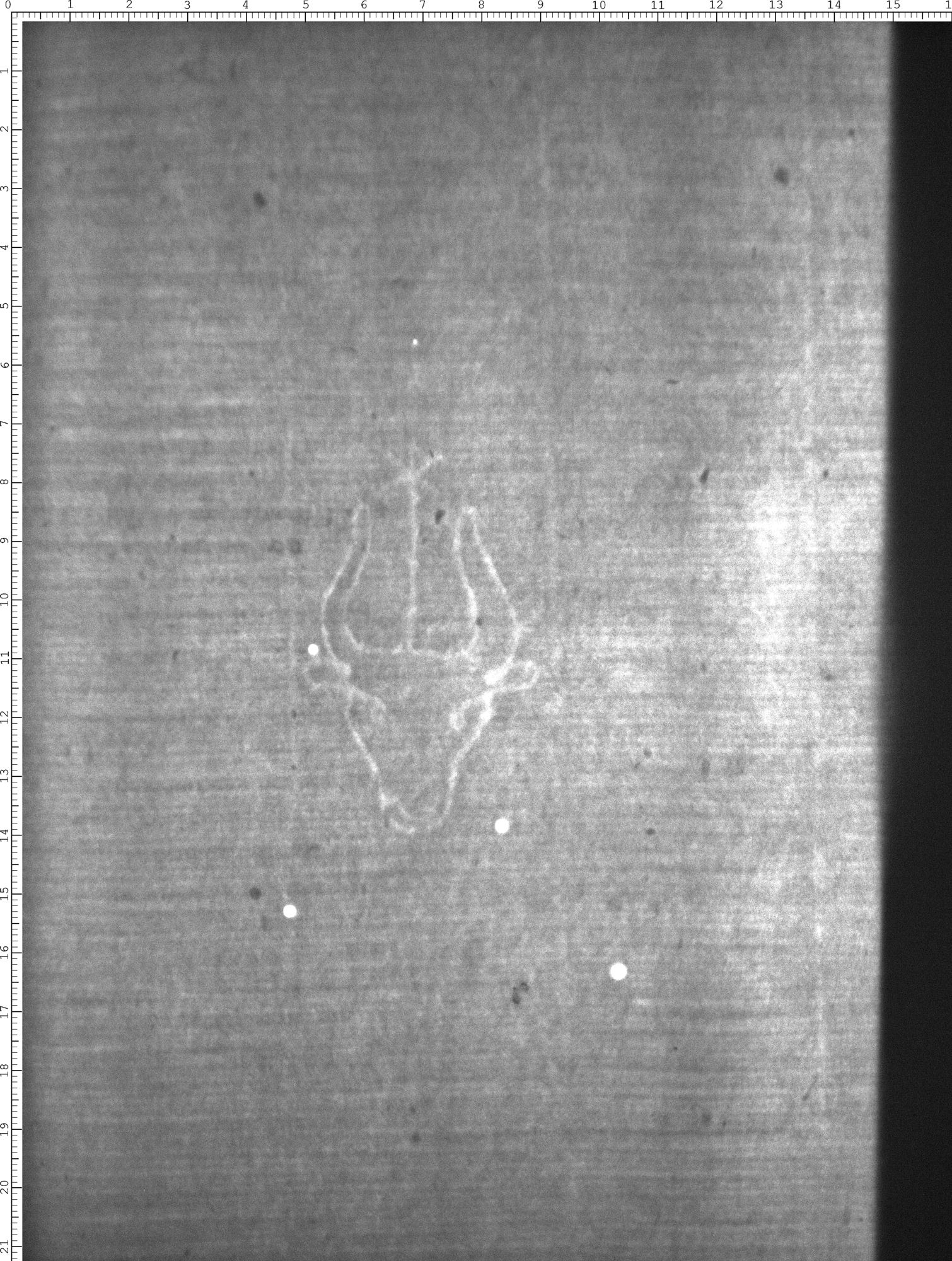 Watermark