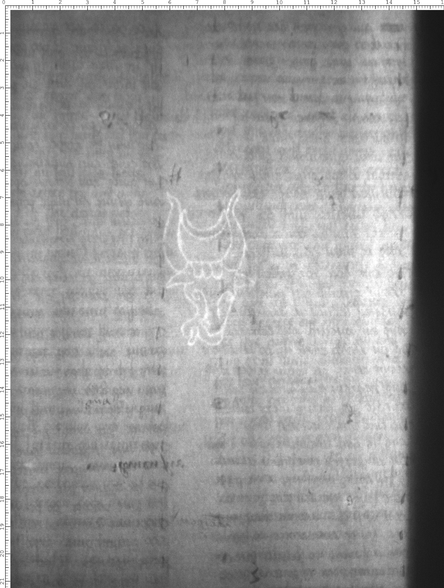 Watermark