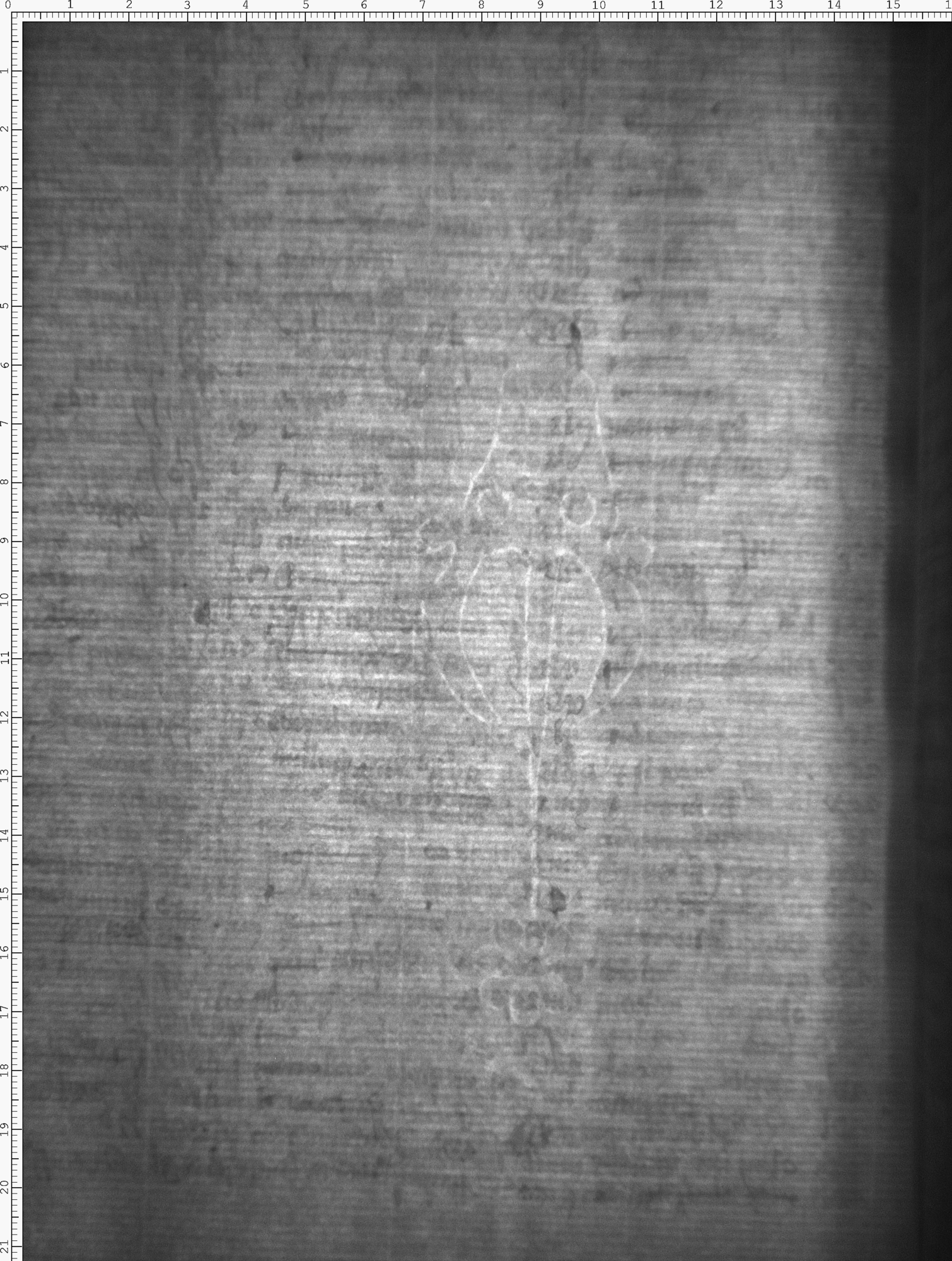 Watermark