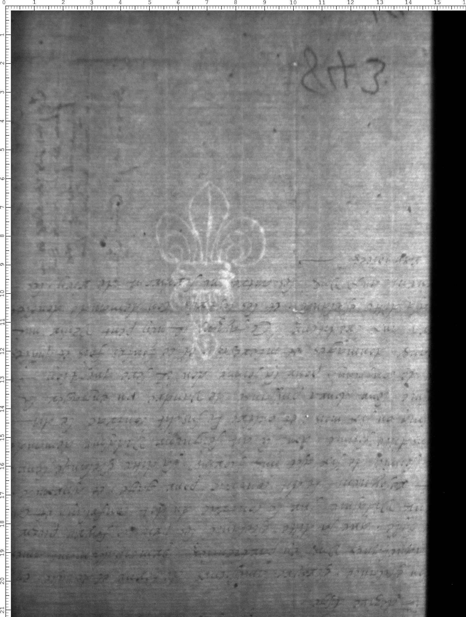 Watermark