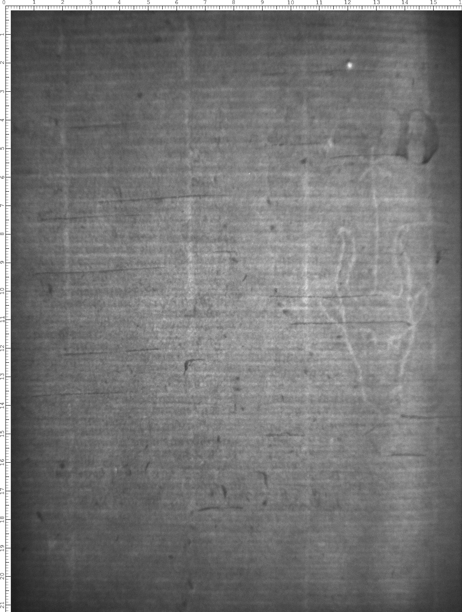 Watermark