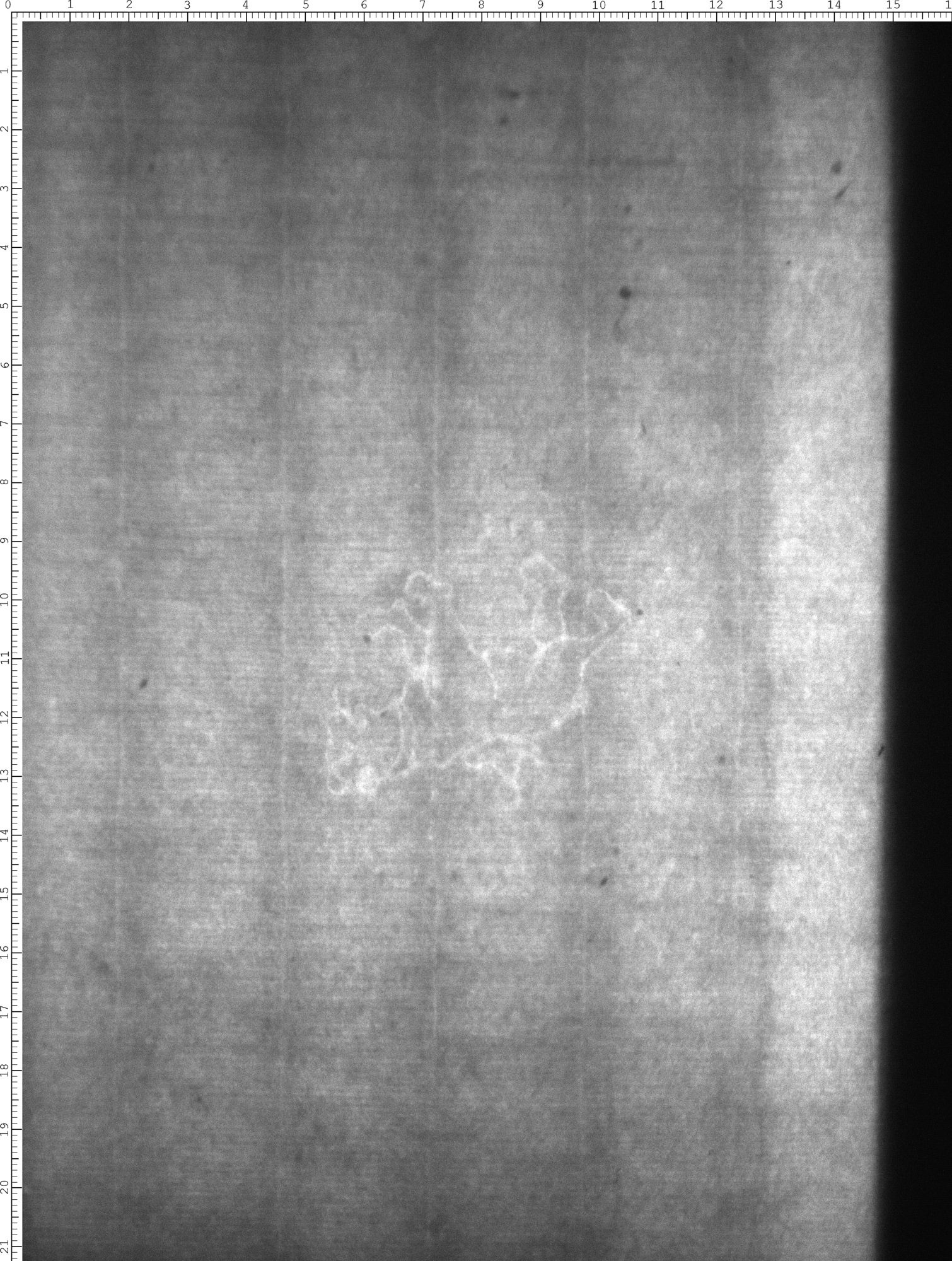 Watermark