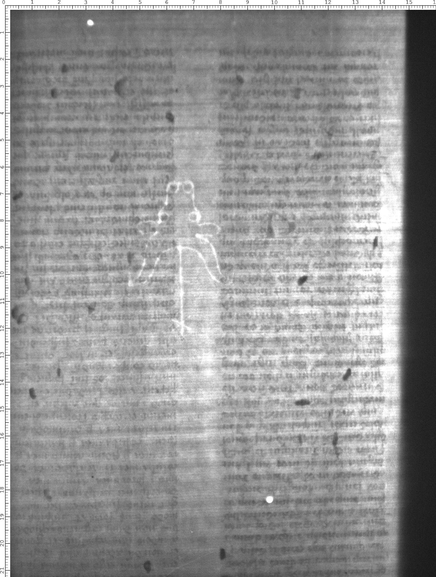 Watermark