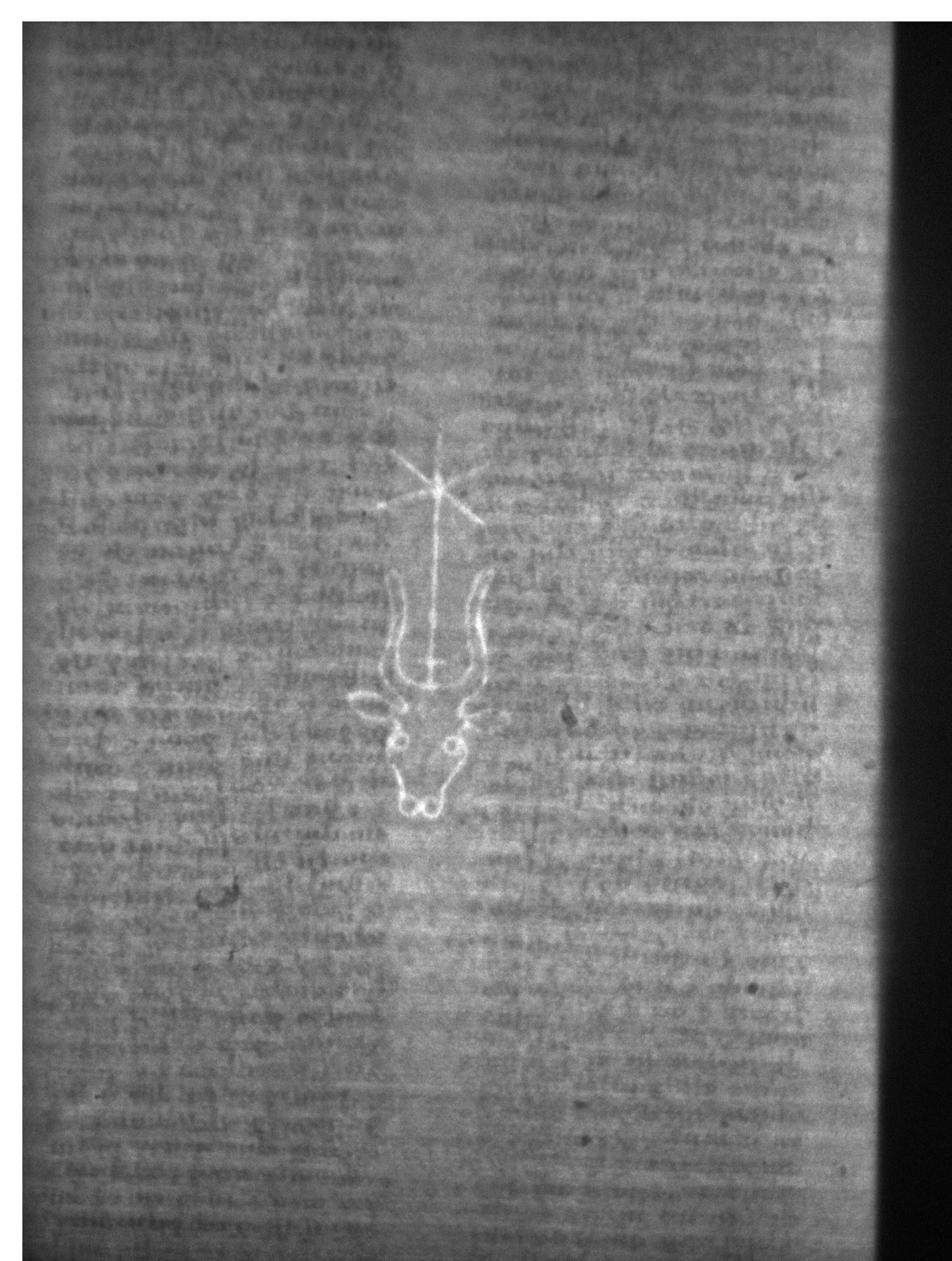 Watermark