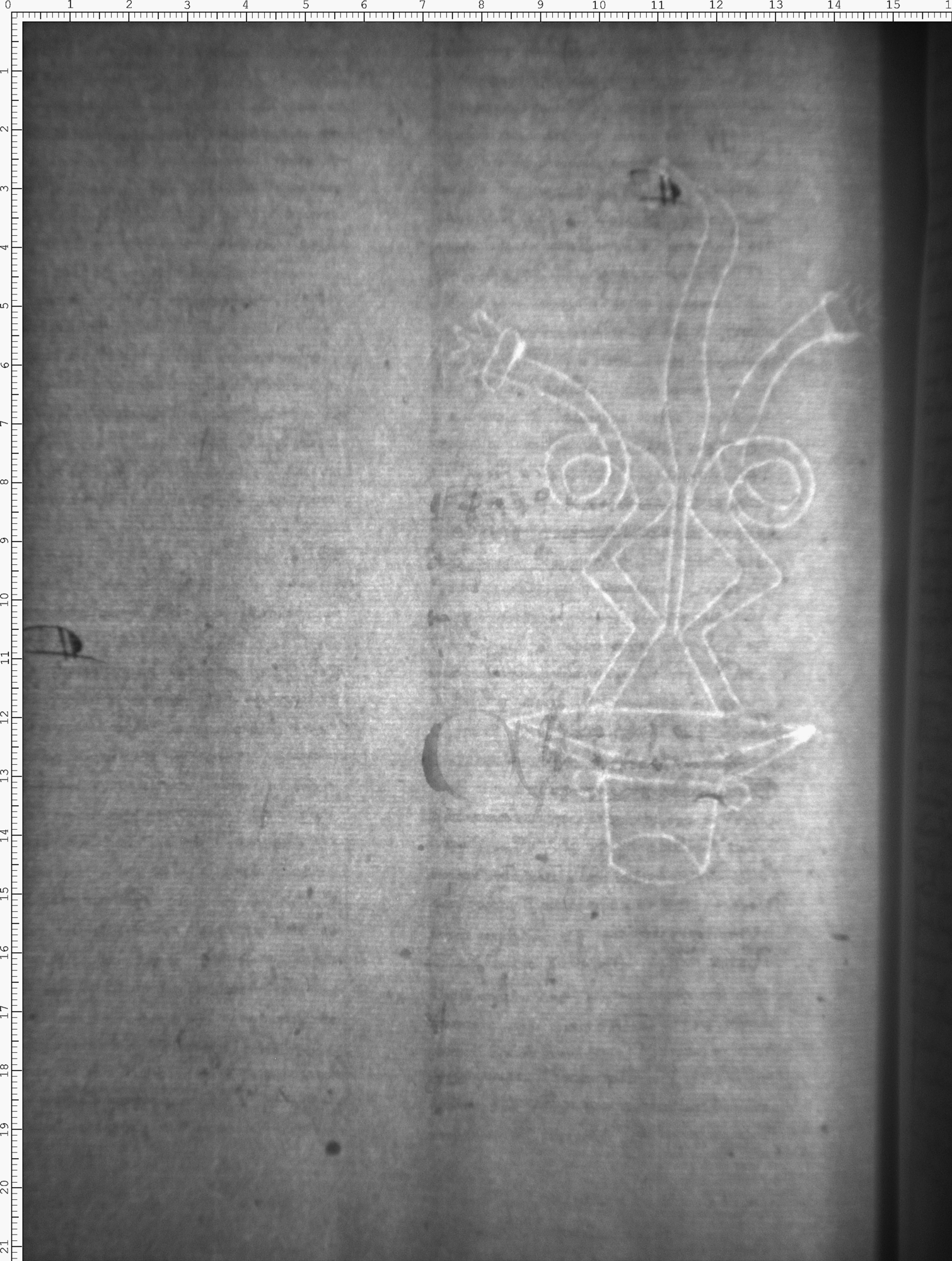 Watermark